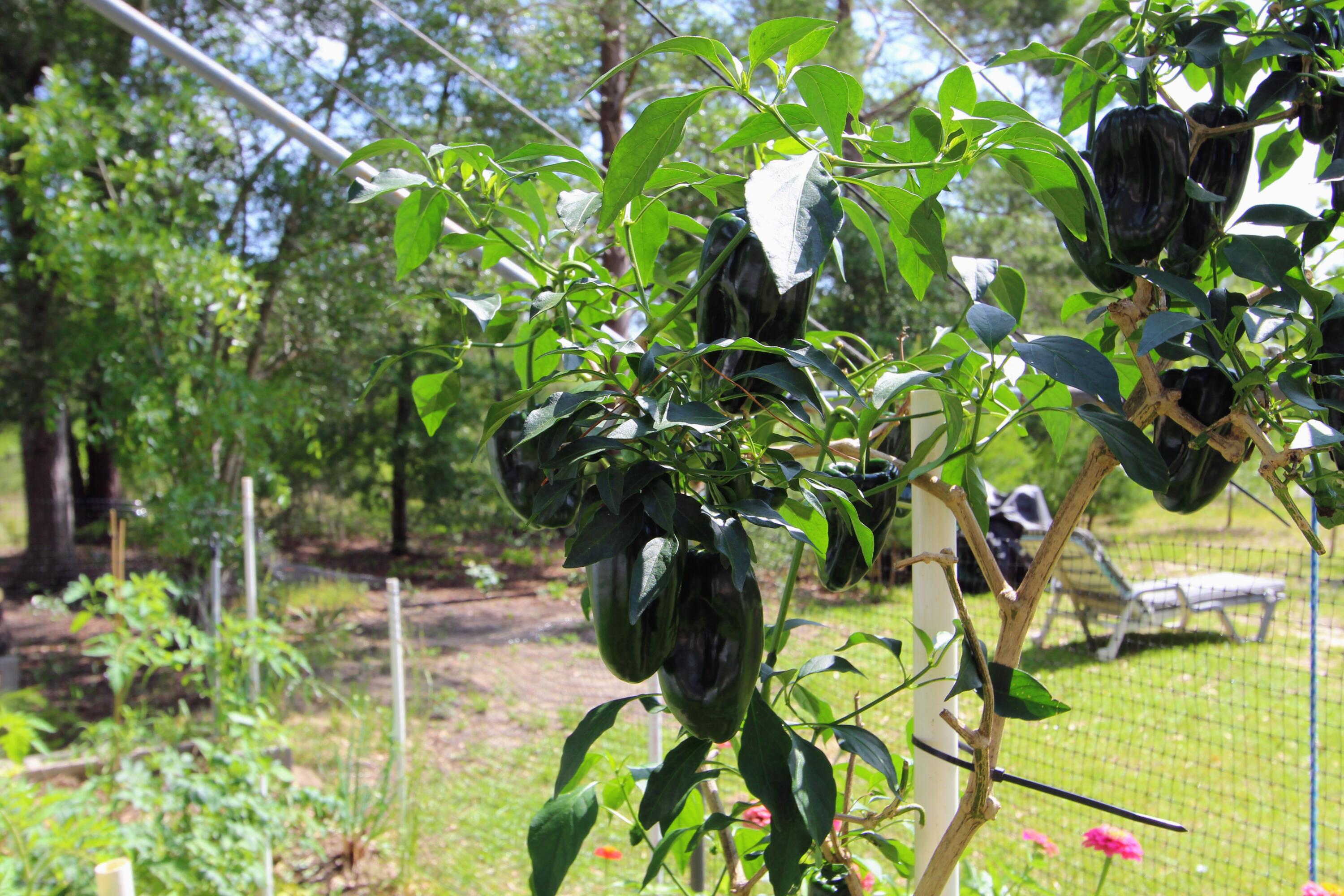 Defuniak Springs - Land
