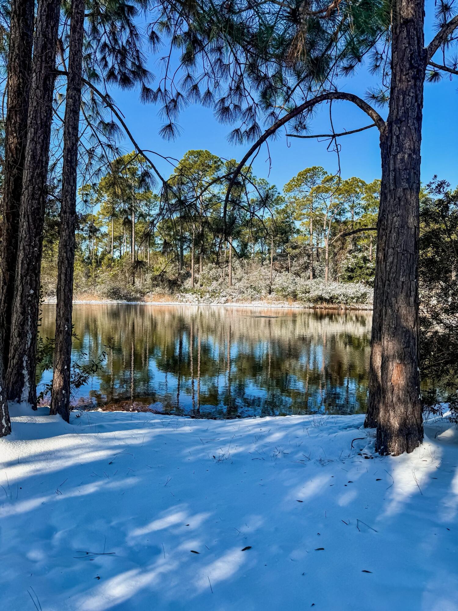 DRIFTWOOD ESTATES - Residential