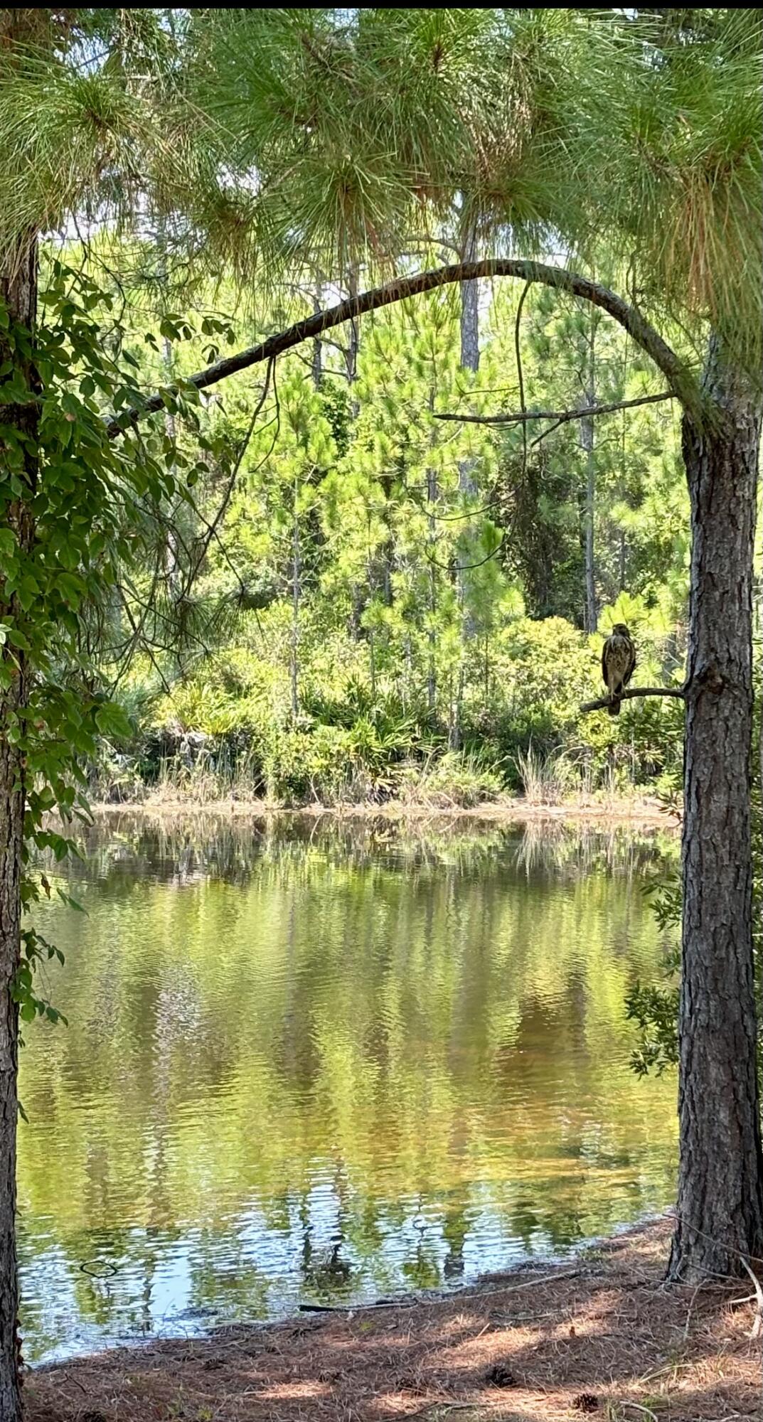 DRIFTWOOD ESTATES - Residential