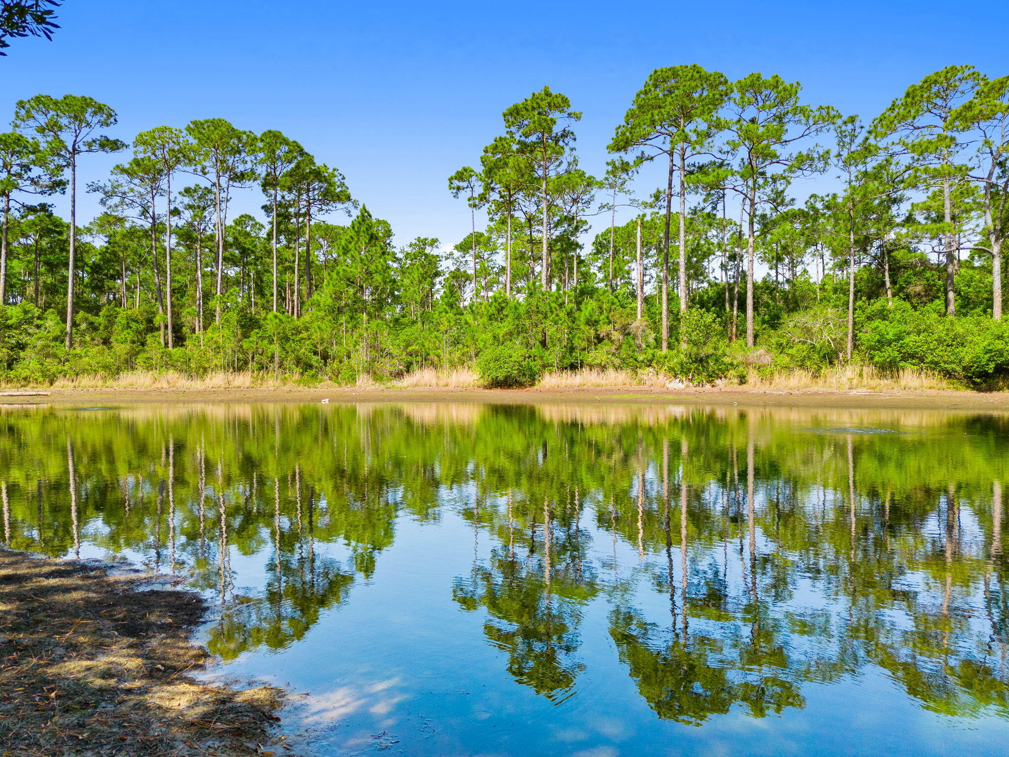 DRIFTWOOD ESTATES - Residential