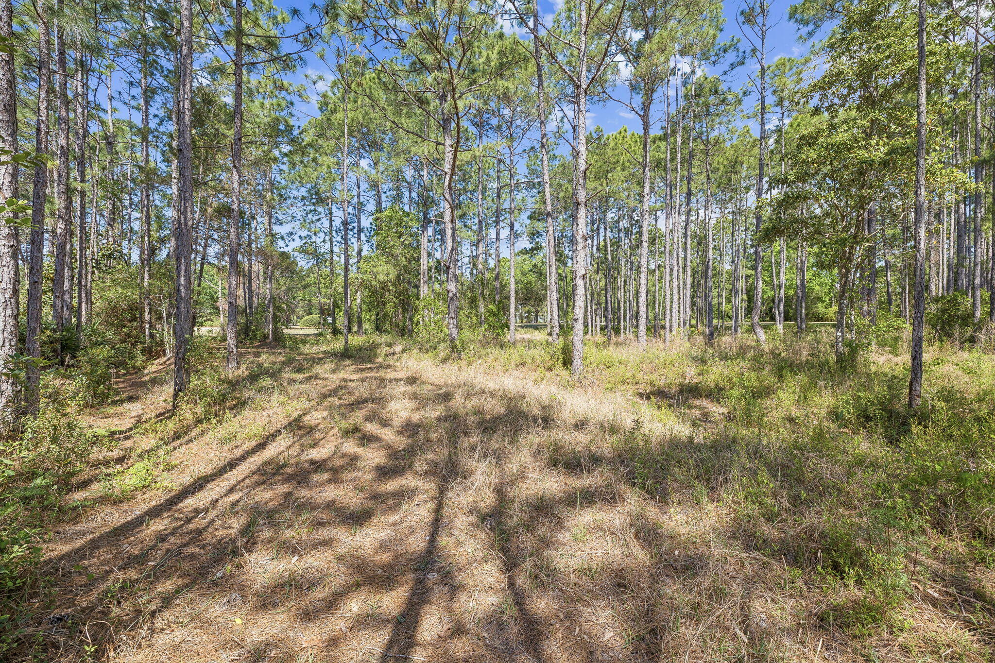 WILD HERON PHASE I - Land