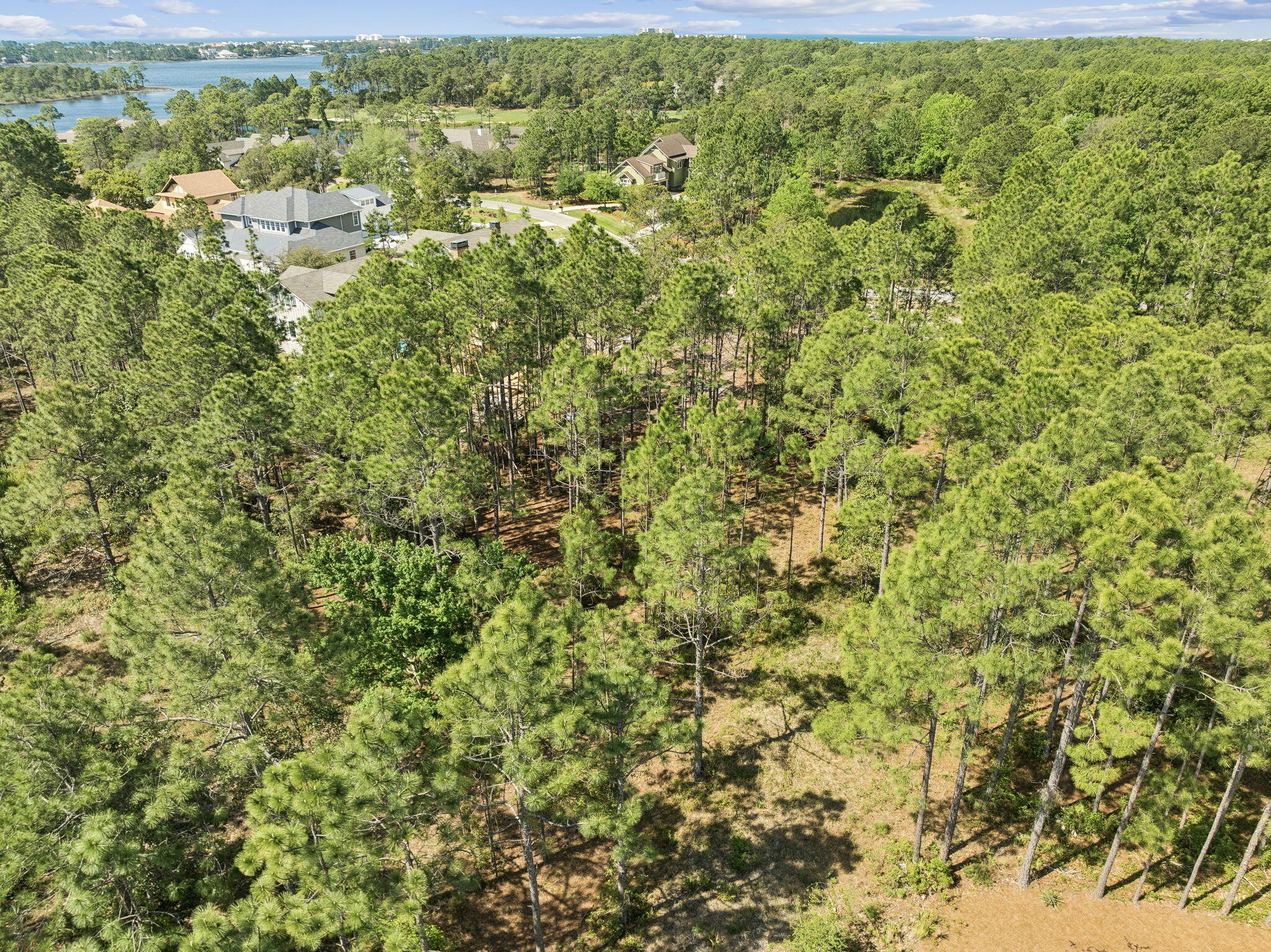 WILD HERON PHASE I - Land