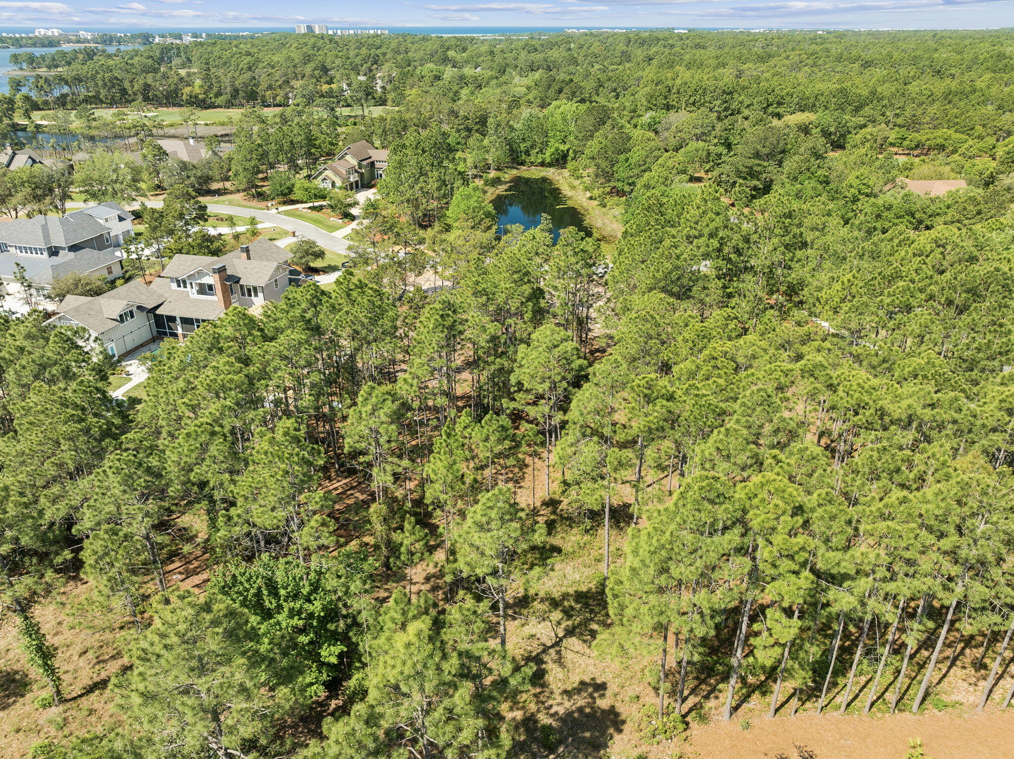 WILD HERON PHASE I - Land