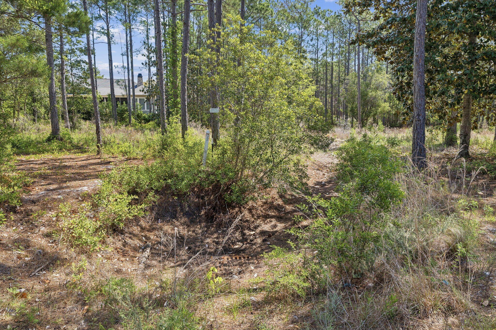 WILD HERON PHASE I - Land