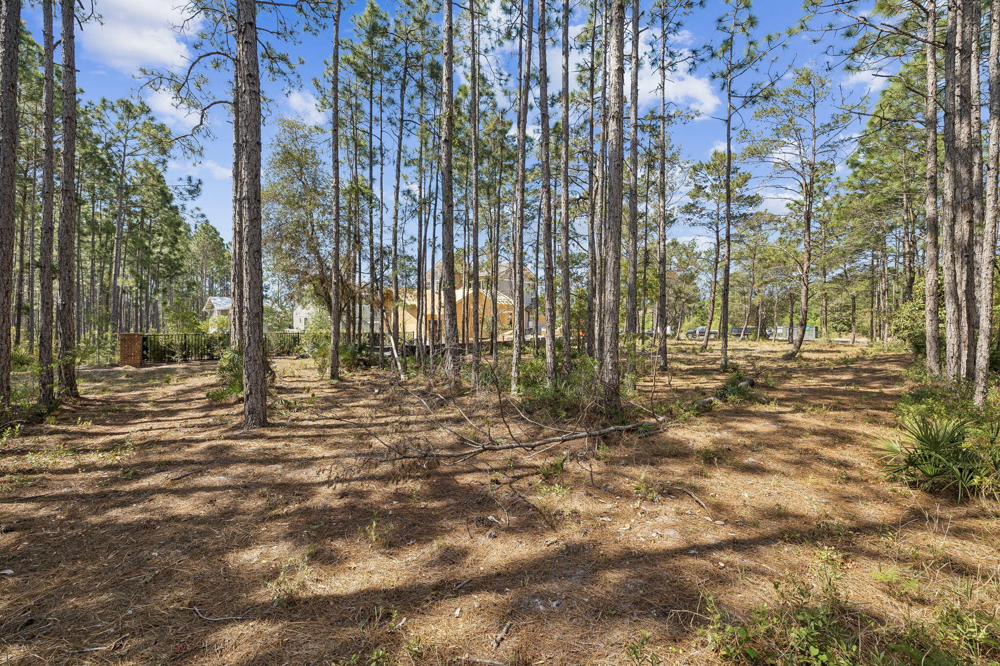 WILD HERON PHASE I - Land