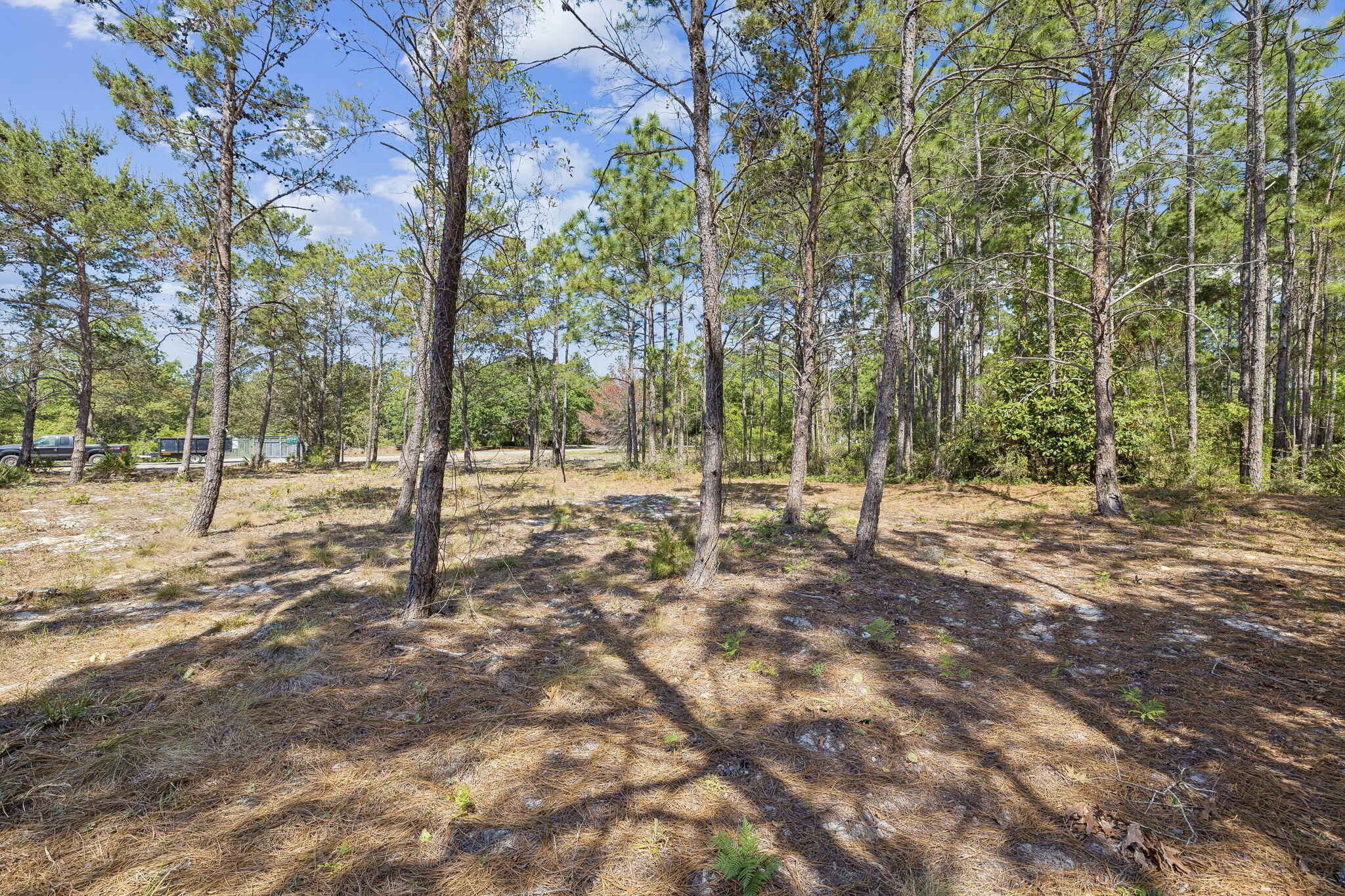 WILD HERON PHASE I - Land