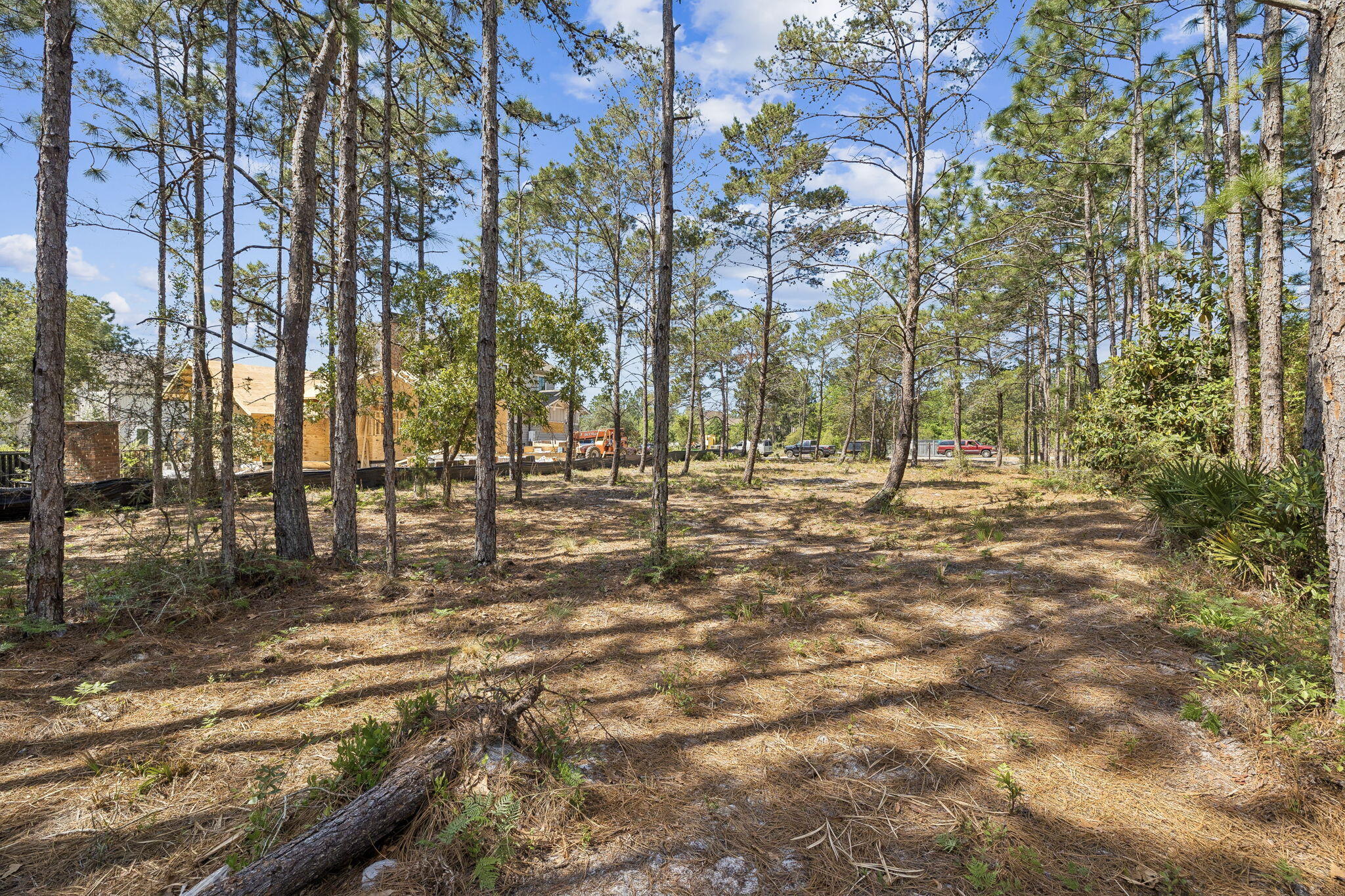 WILD HERON PHASE I - Land