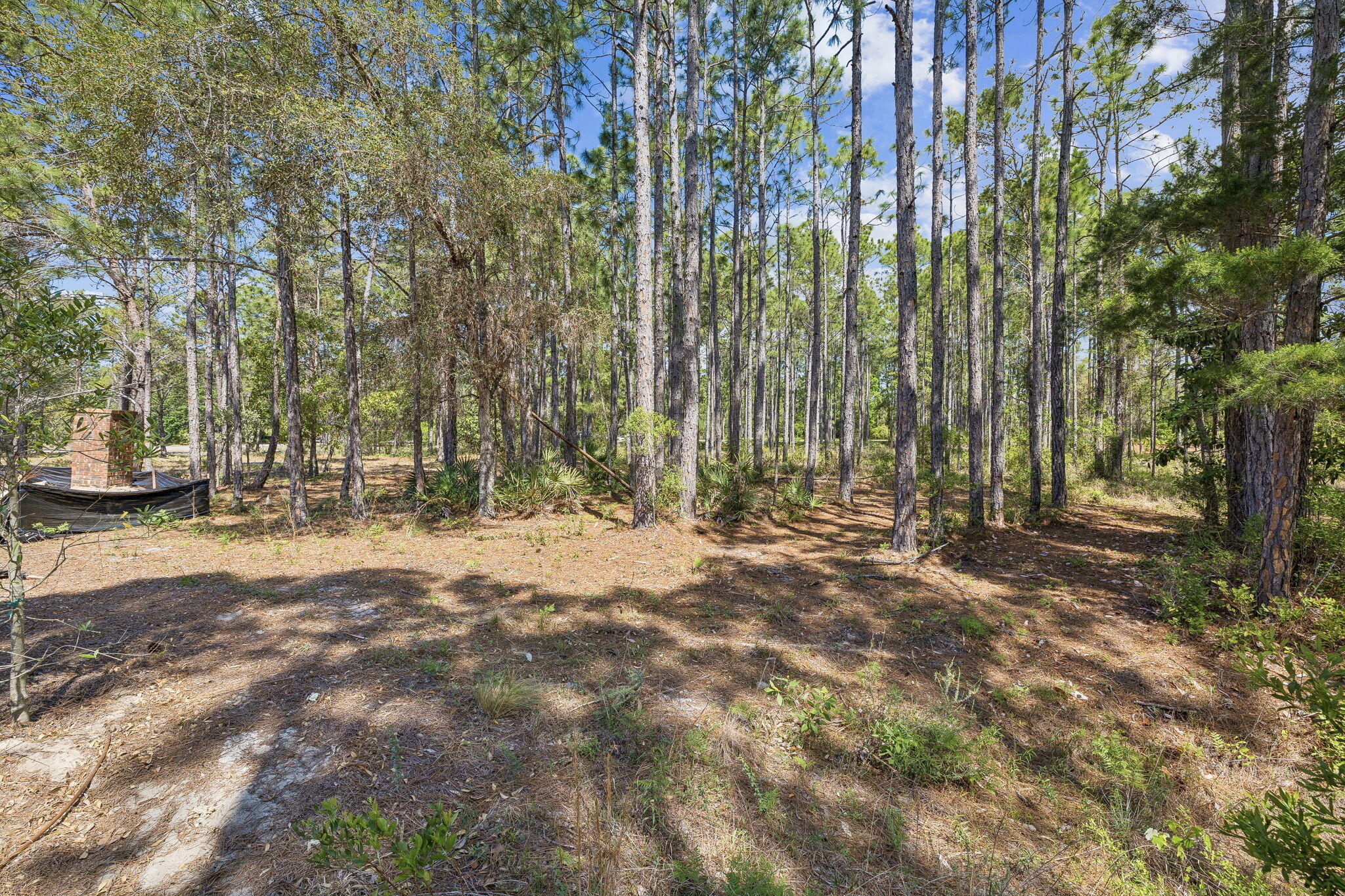 WILD HERON PHASE I - Land