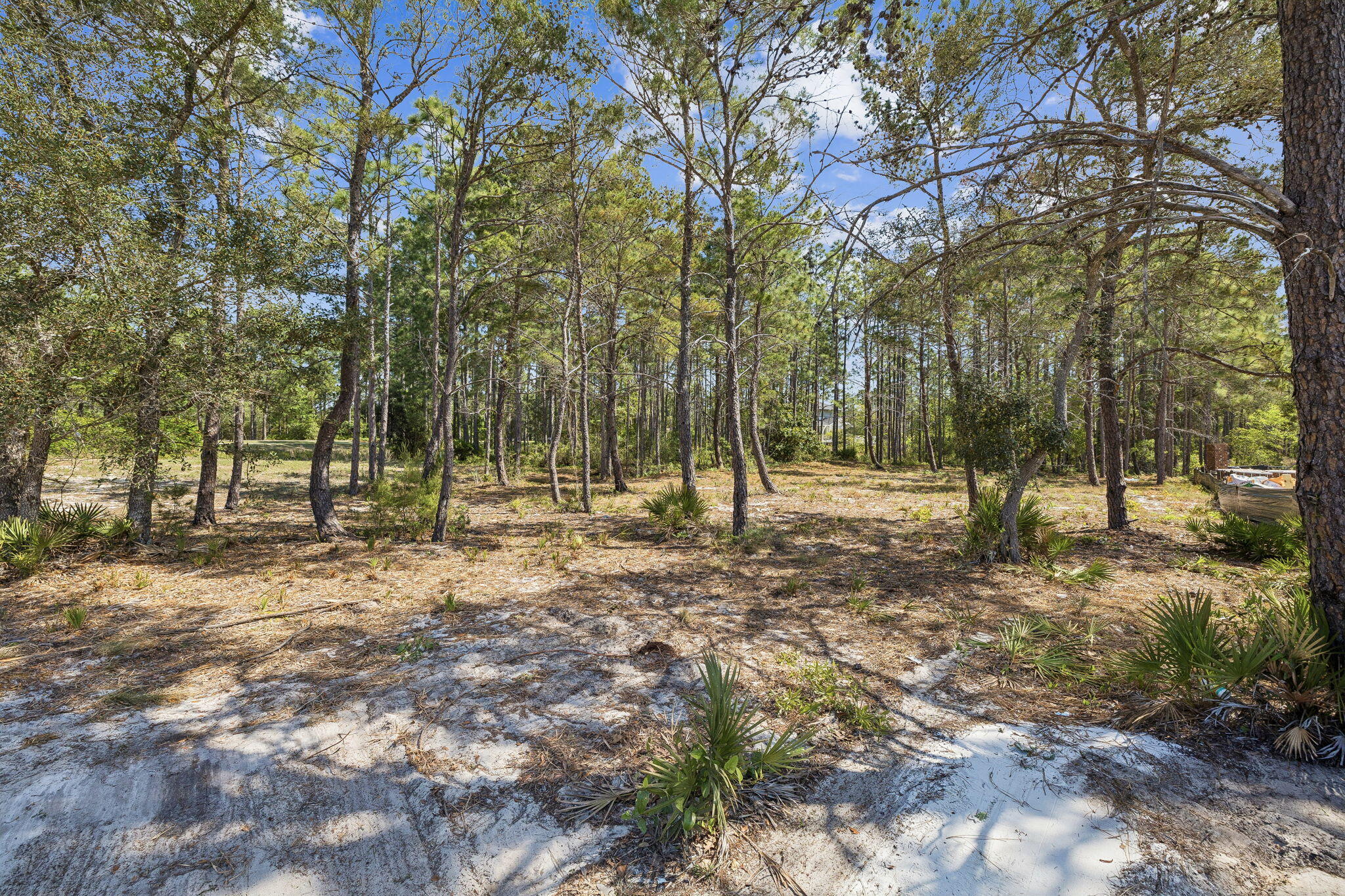 WILD HERON PHASE I - Land