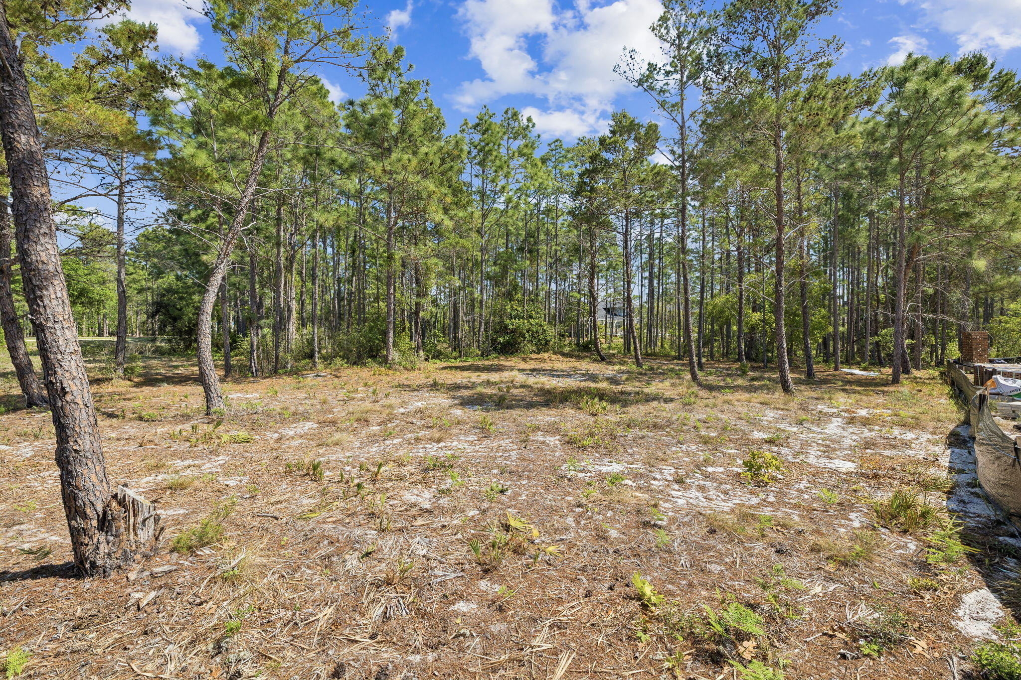 WILD HERON PHASE I - Land