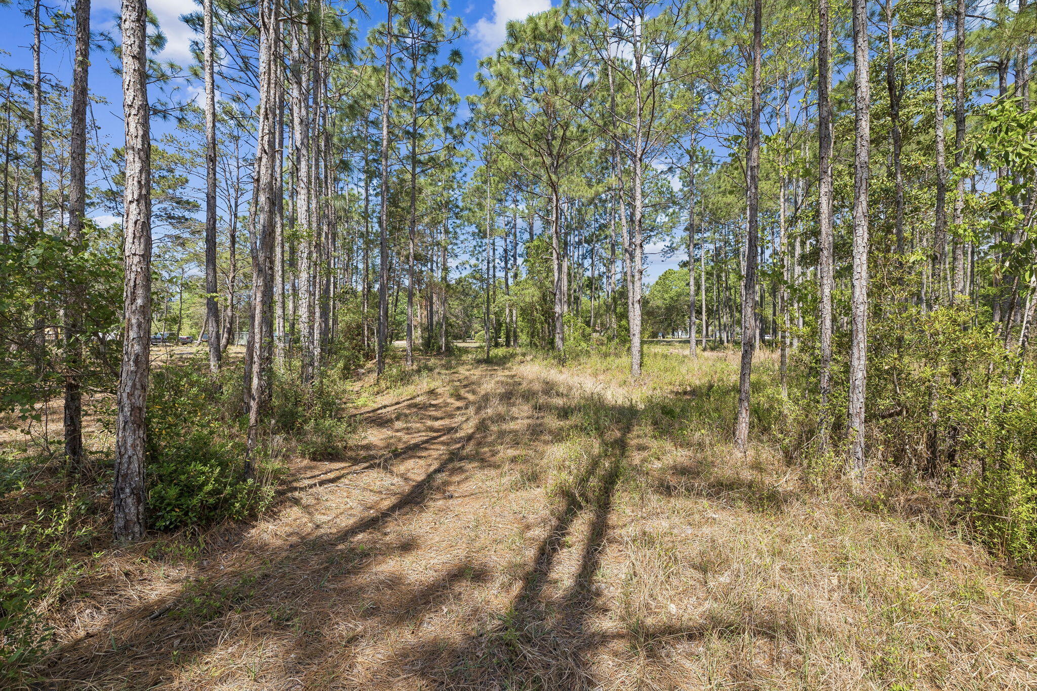 WILD HERON PHASE I - Land