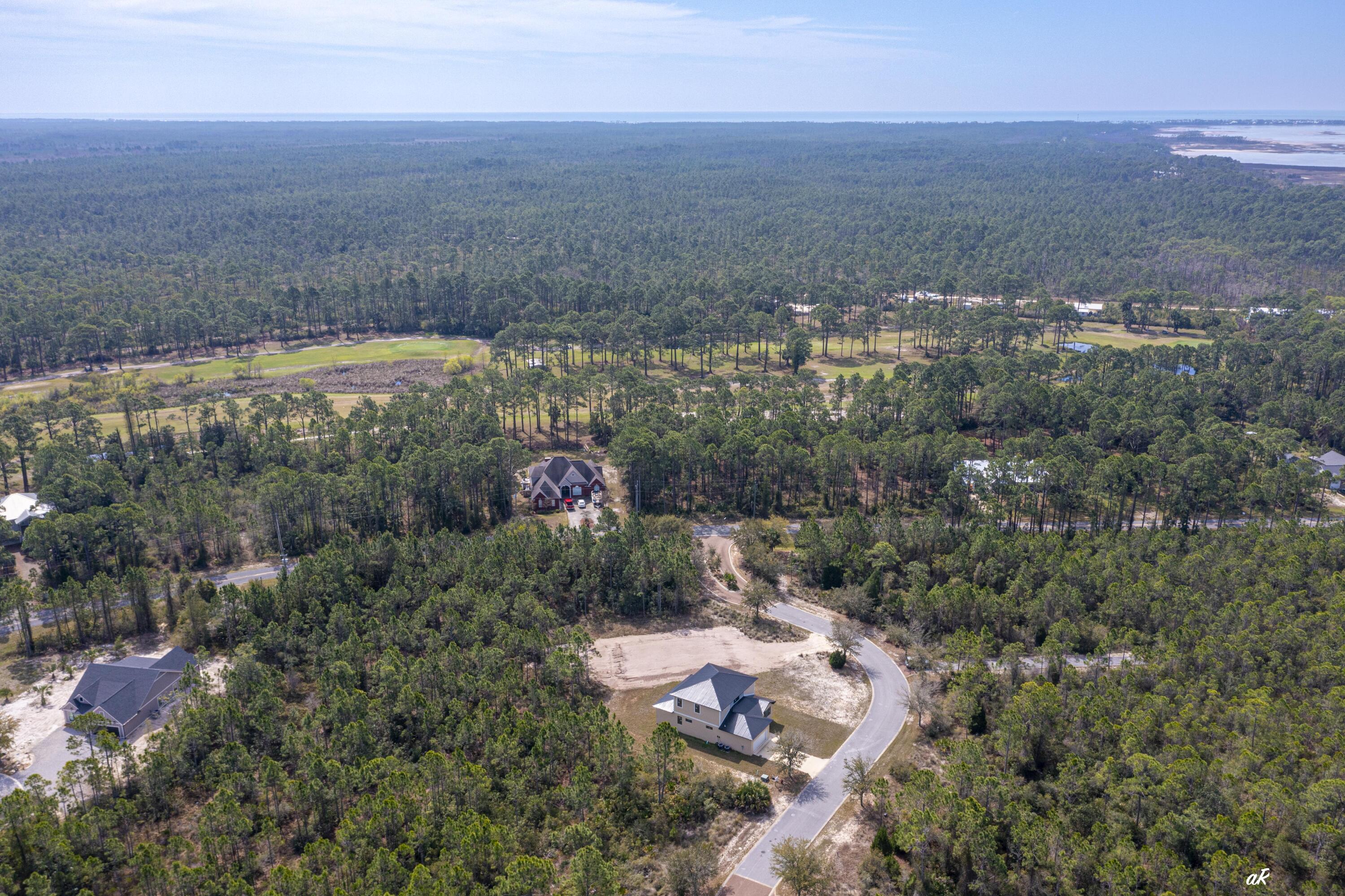 Shallow Reed - Residential