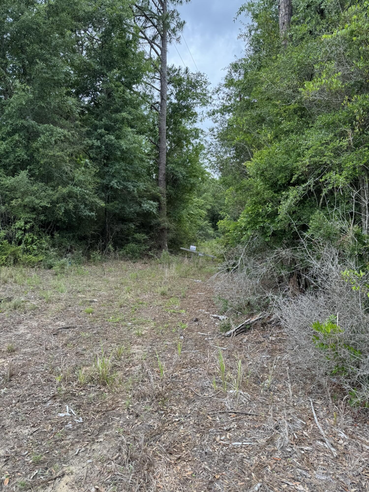 115 Clarks Landing Road