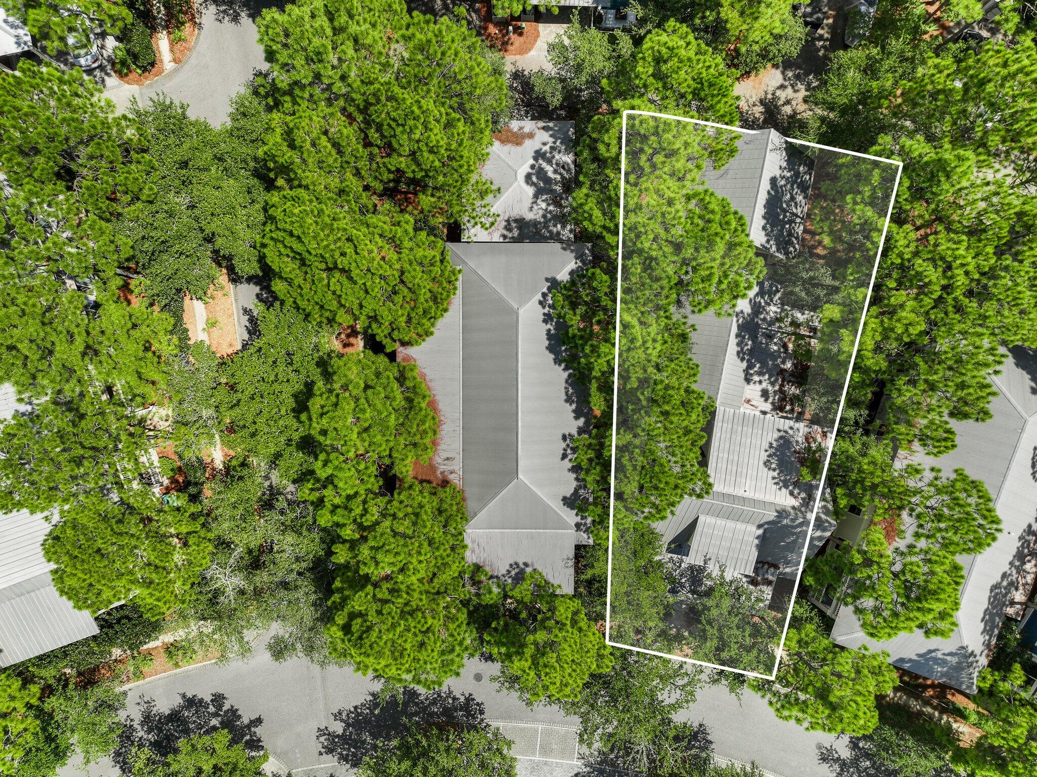 Watercolor - Residential