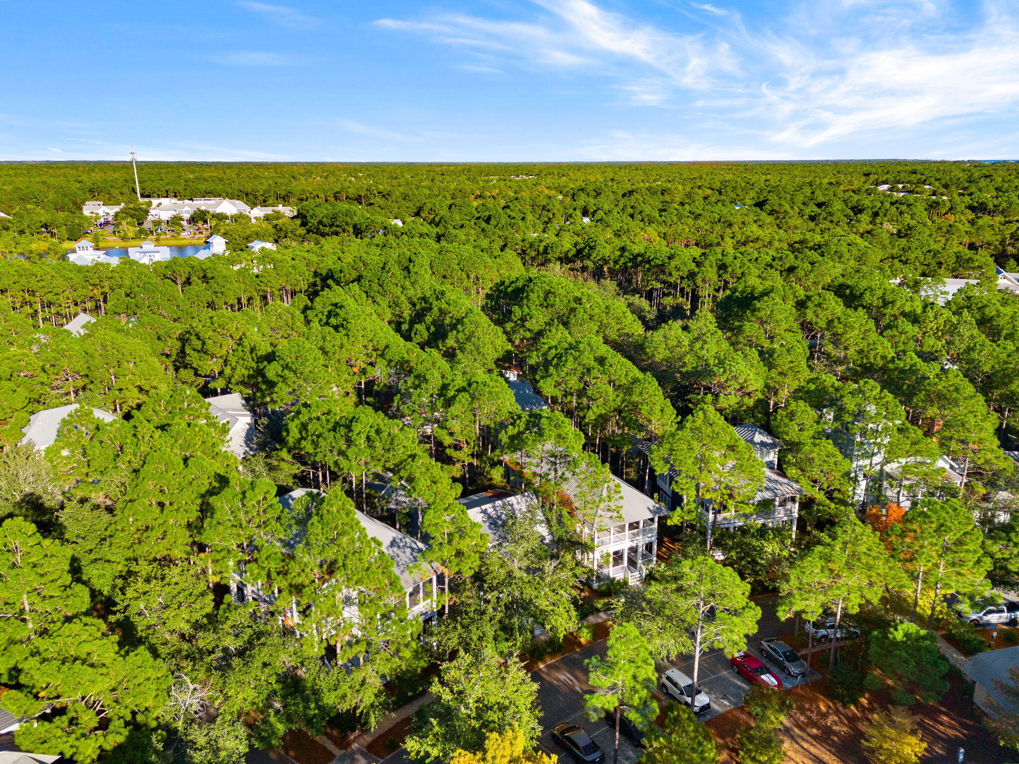Watercolor - Residential