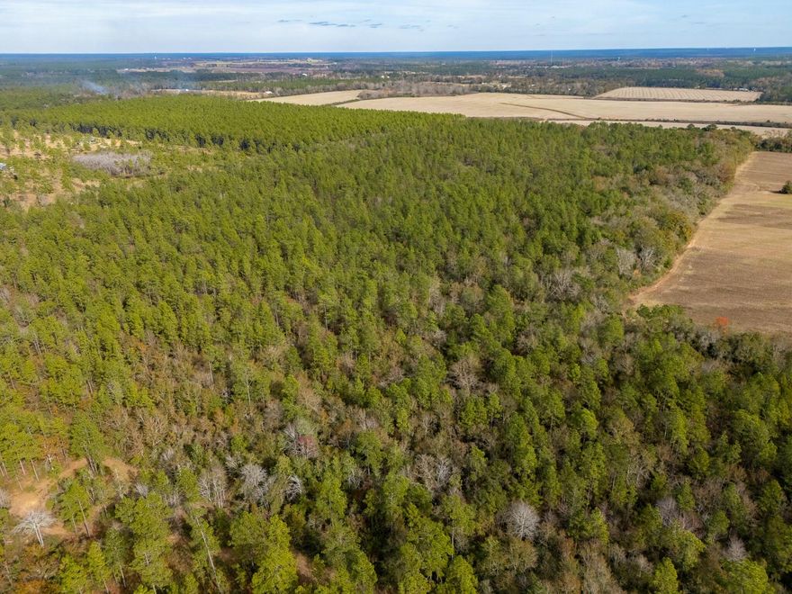 Seize the chance to own this 80-acre parcel in Baker, a truly rare find offering a wealth of possibilities! With a mix of wooded terrain and open spaces, this property provides a blank canvas to create your dream home, a peaceful farm, or a private recreational retreat. Whether you're seeking seclusion, nature's beauty, or a space for outdoor activities, this property offers it all. While this land is mostly wooded, it's not without its opportunities. With a natural water source in the center and a diverse landscape perfect for wildlife, this parcel is ideal for those who want to build a home, farm, or create the ultimate outdoor retreat surrounded by trees and natural beauty. The secluded location provides privacy while still being a short drive to town for your everyday needs.