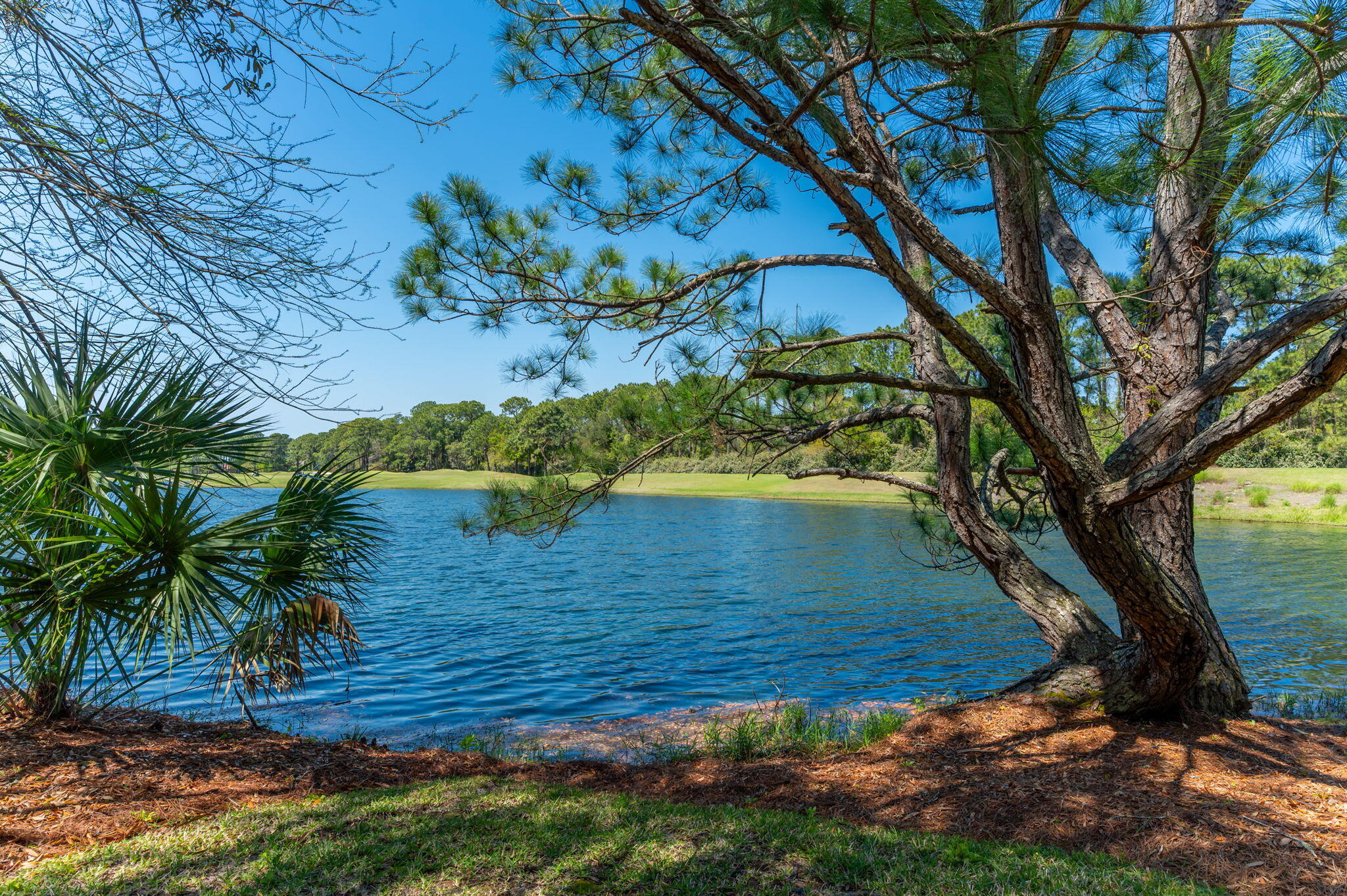 BURNT PINE - Residential