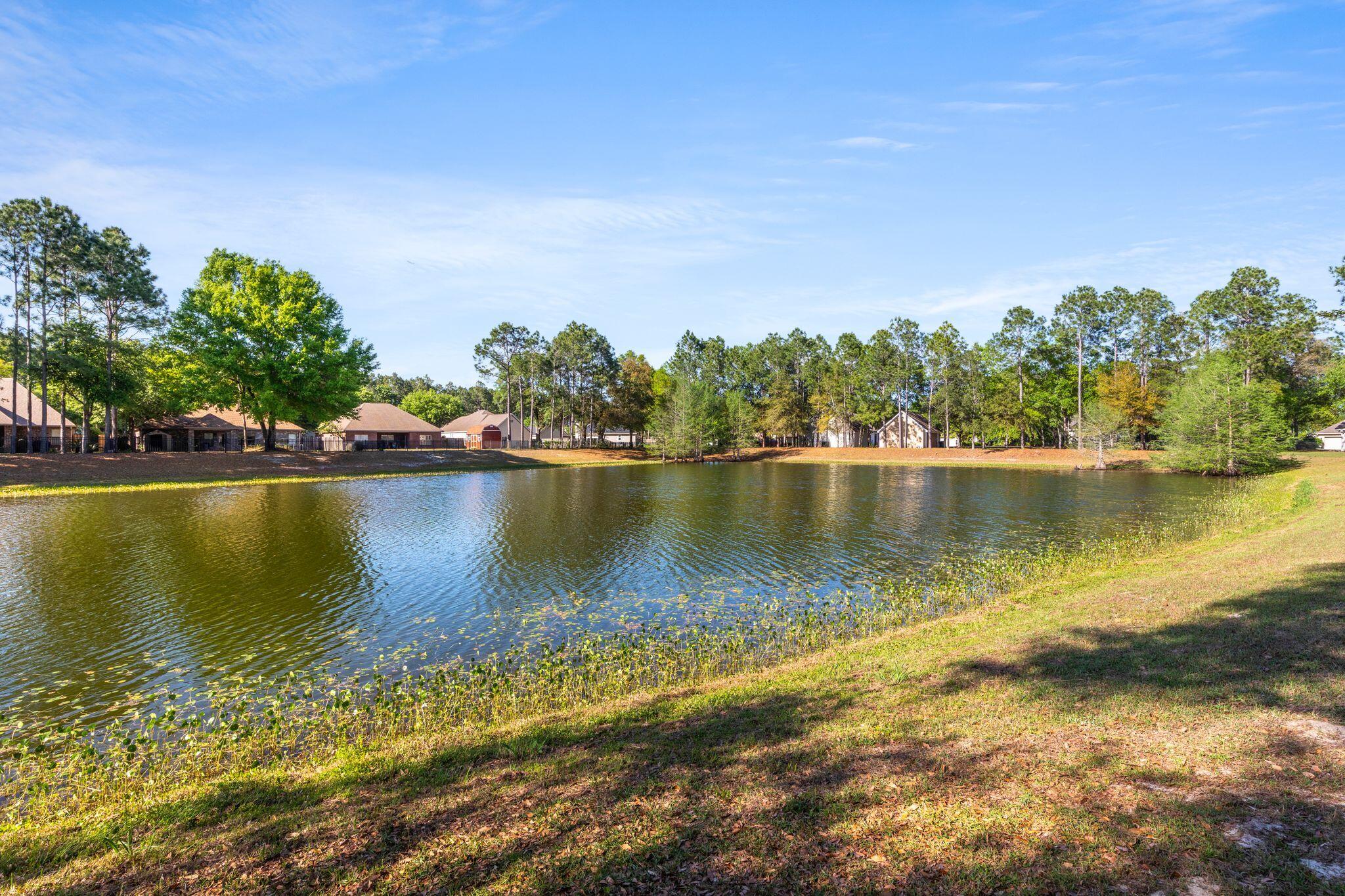 HAMMOCK BAY - Residential