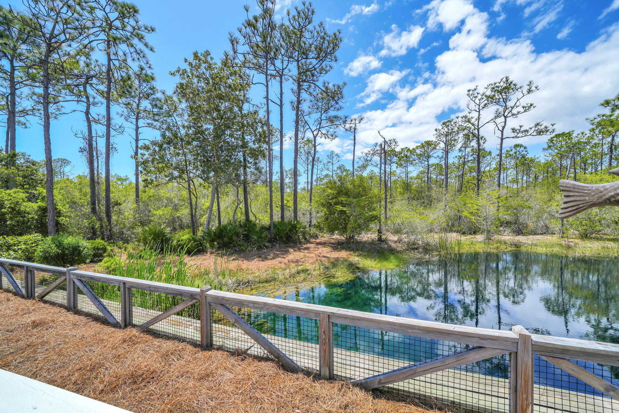 NATUREWALK AT SEAGROVE - Residential