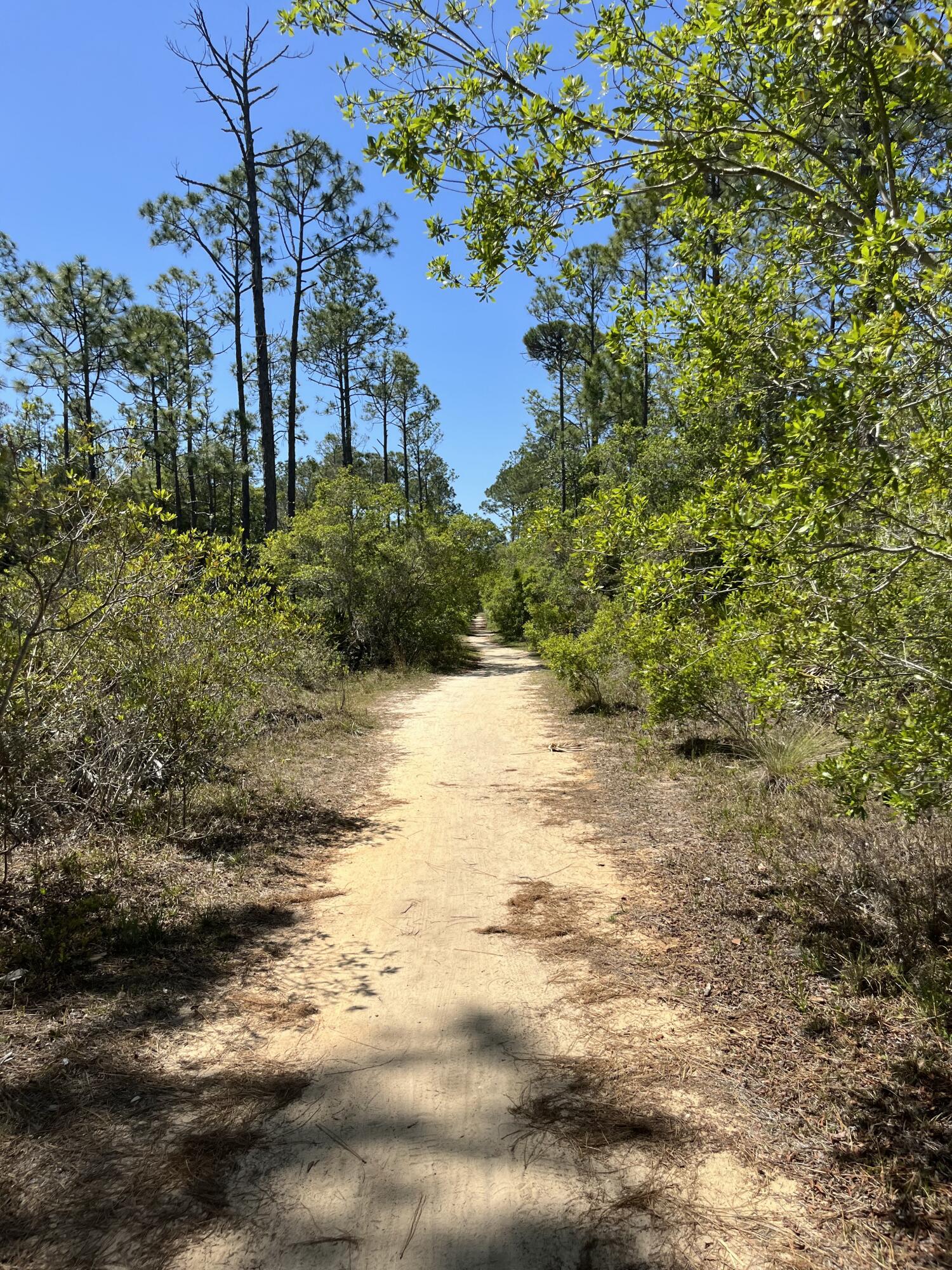 NATUREWALK AT SEAGROVE - Residential