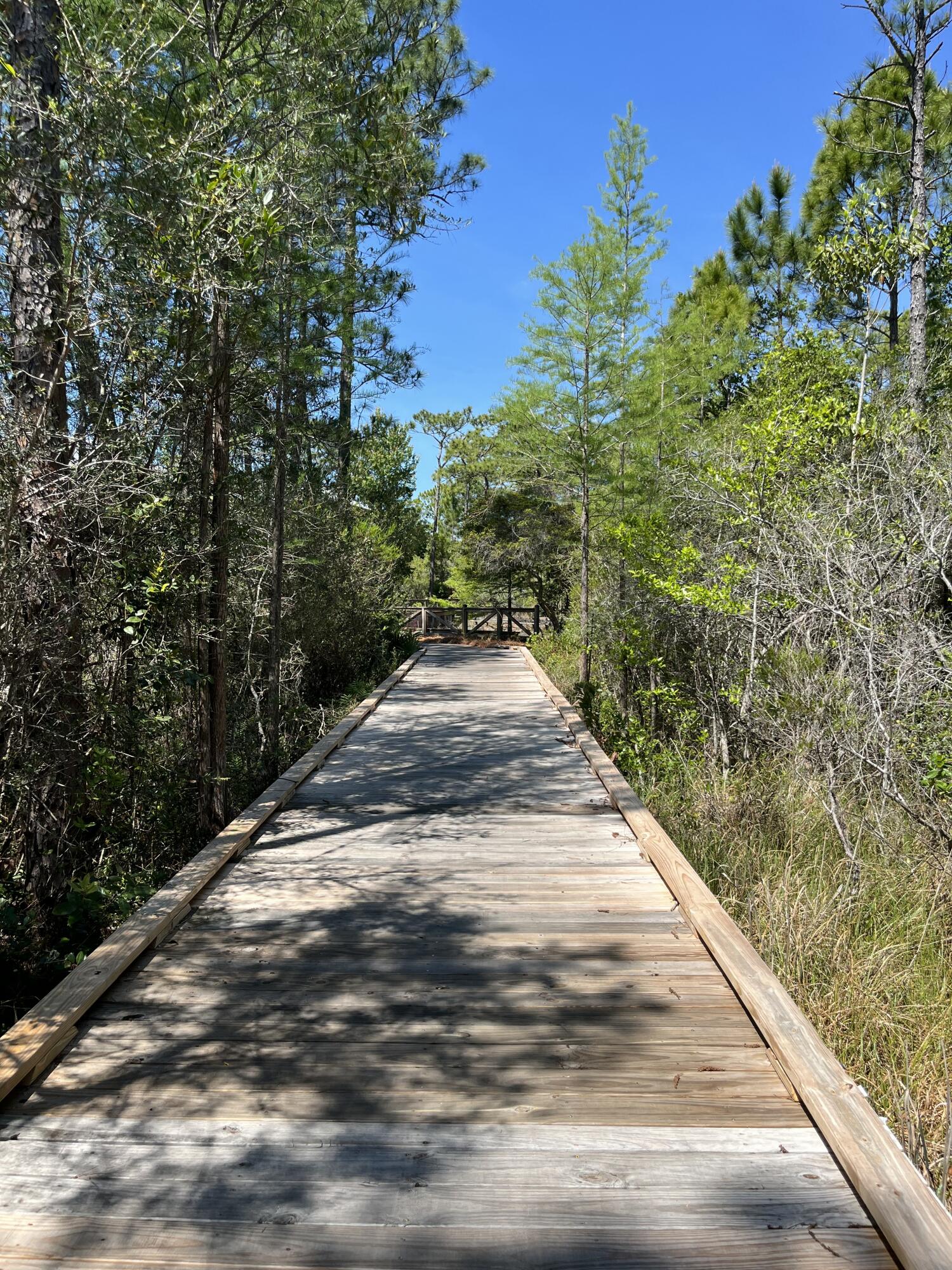 NATUREWALK AT SEAGROVE - Residential