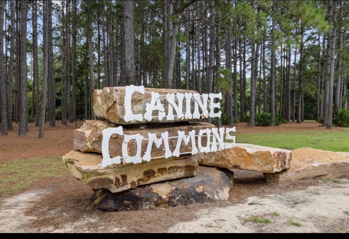 HAMMOCK BAY - BIRD SONG - Residential