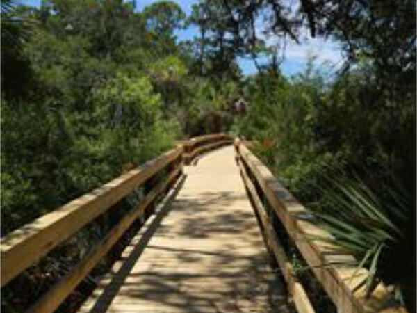 St George Plantation - Land