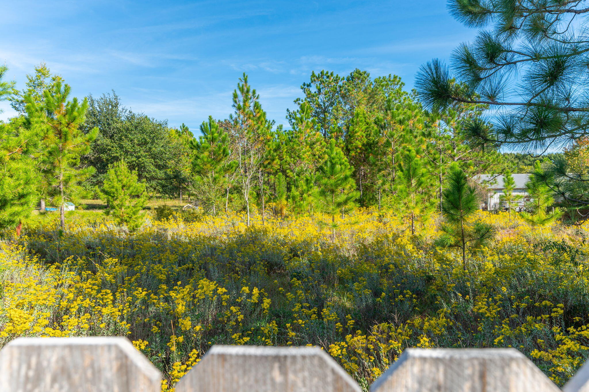 NONESUCH WAY - Residential