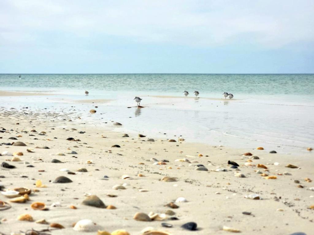 San Blas Estates - Residential