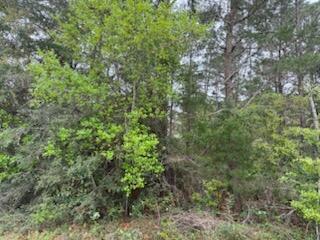 HOLLEY BY THE SEA - Land