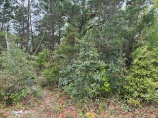 HOLLEY BY THE SEA - Land