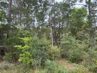 HOLLEY BY THE SEA - Land