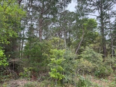 7117 Snug Waters Road Navarre FL 32566