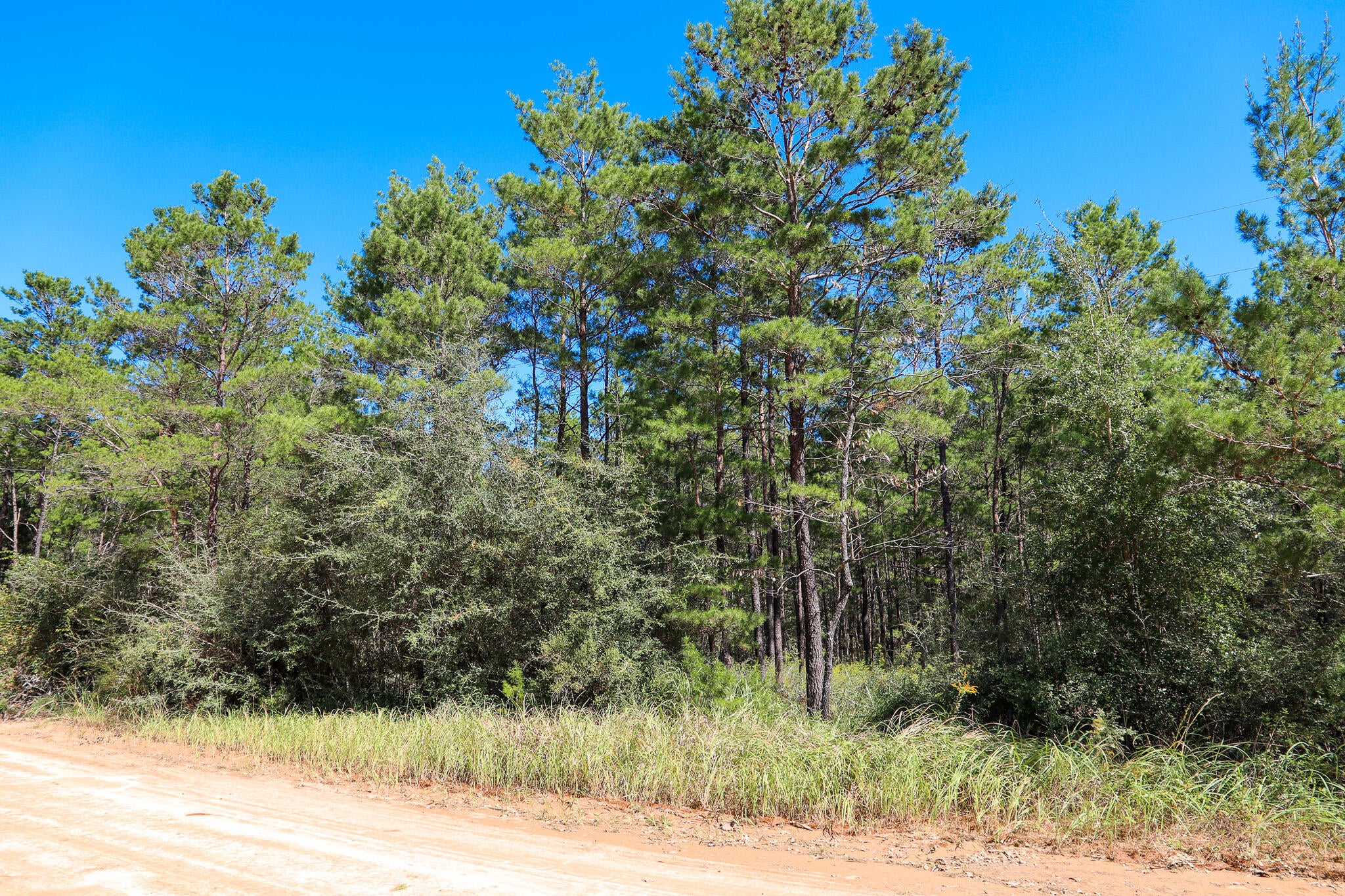 LOT 2 Hamlet Drive