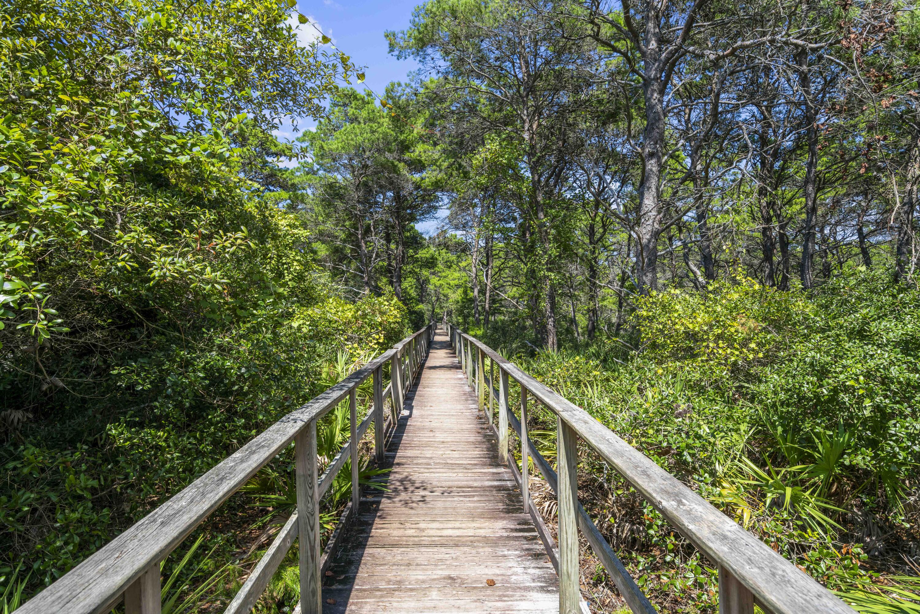THE PRESERVE AT GRAYTON BEACH - Residential