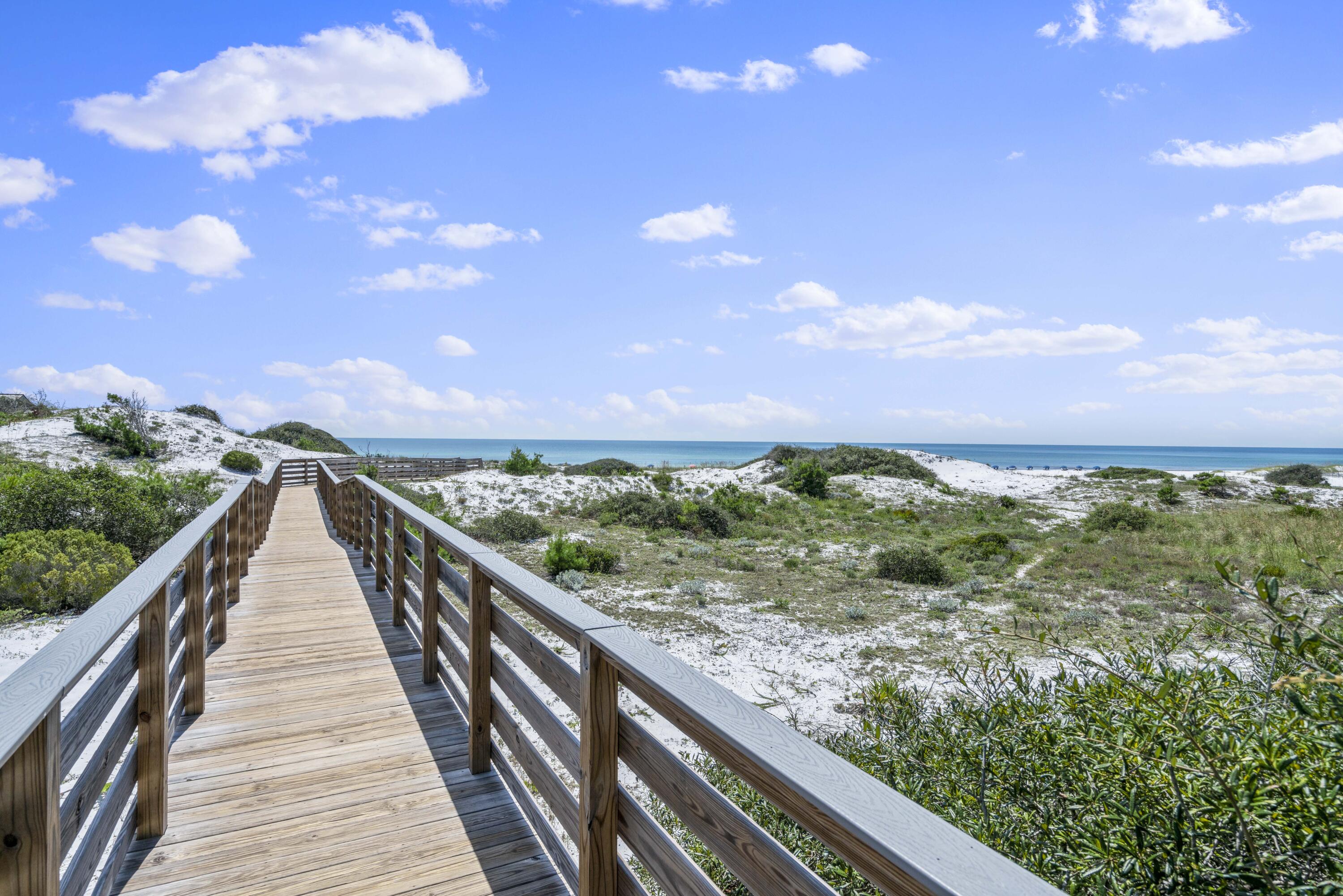 THE PRESERVE AT GRAYTON BEACH - Residential