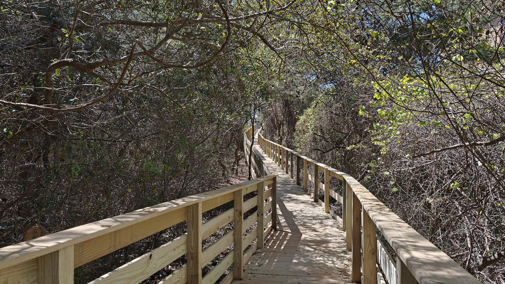 THE PRESERVE AT GRAYTON BEACH - Residential