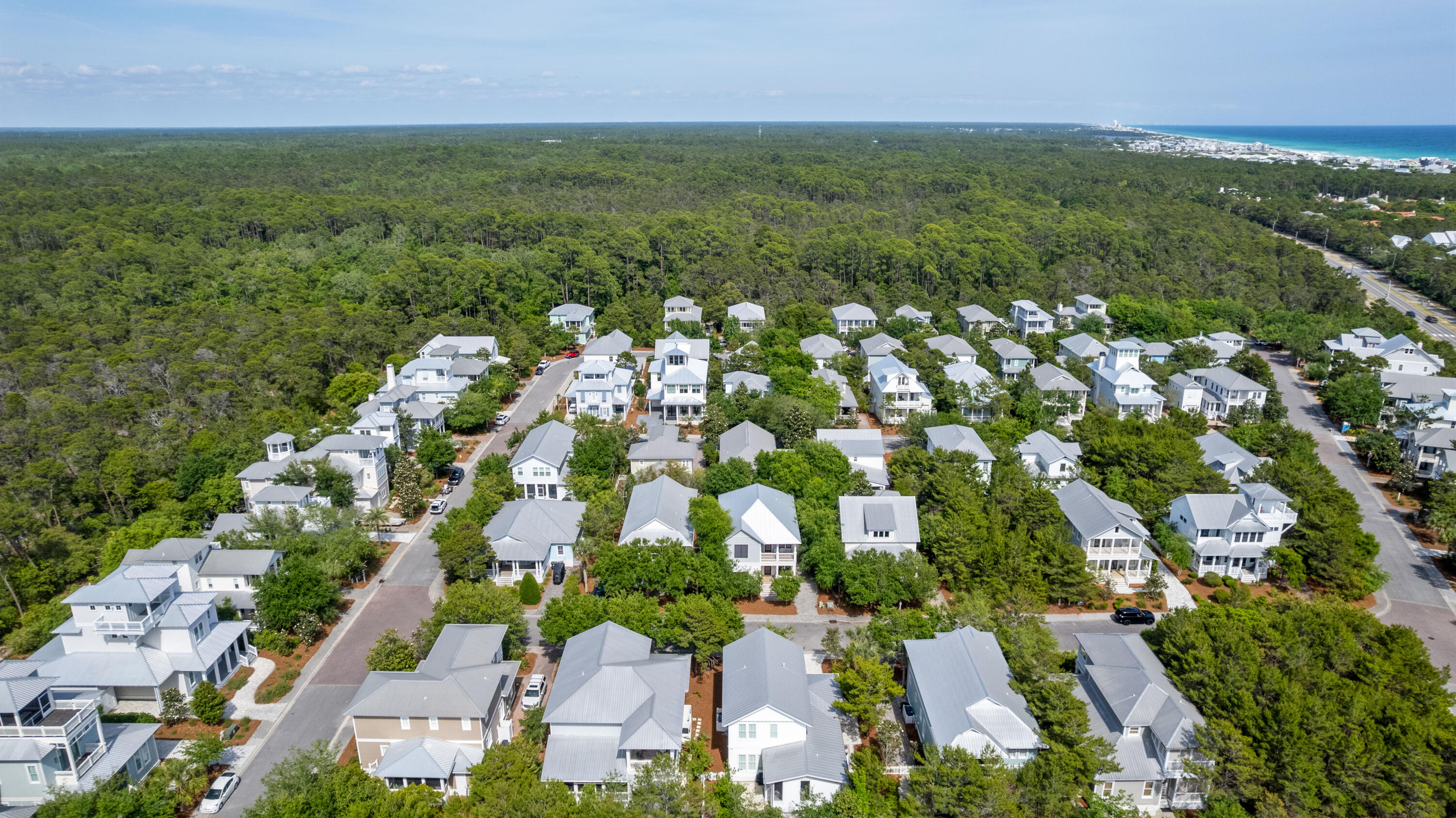 THE PRESERVE AT GRAYTON BEACH - Residential