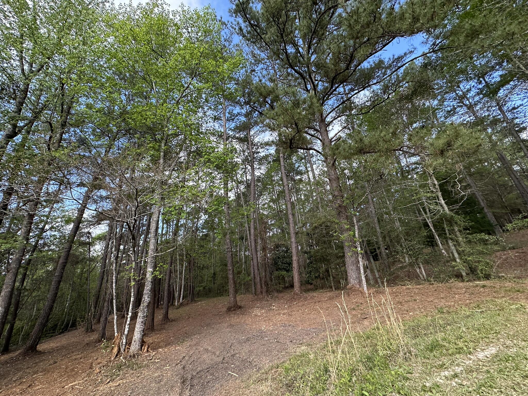 METES & BOUNDS - Land