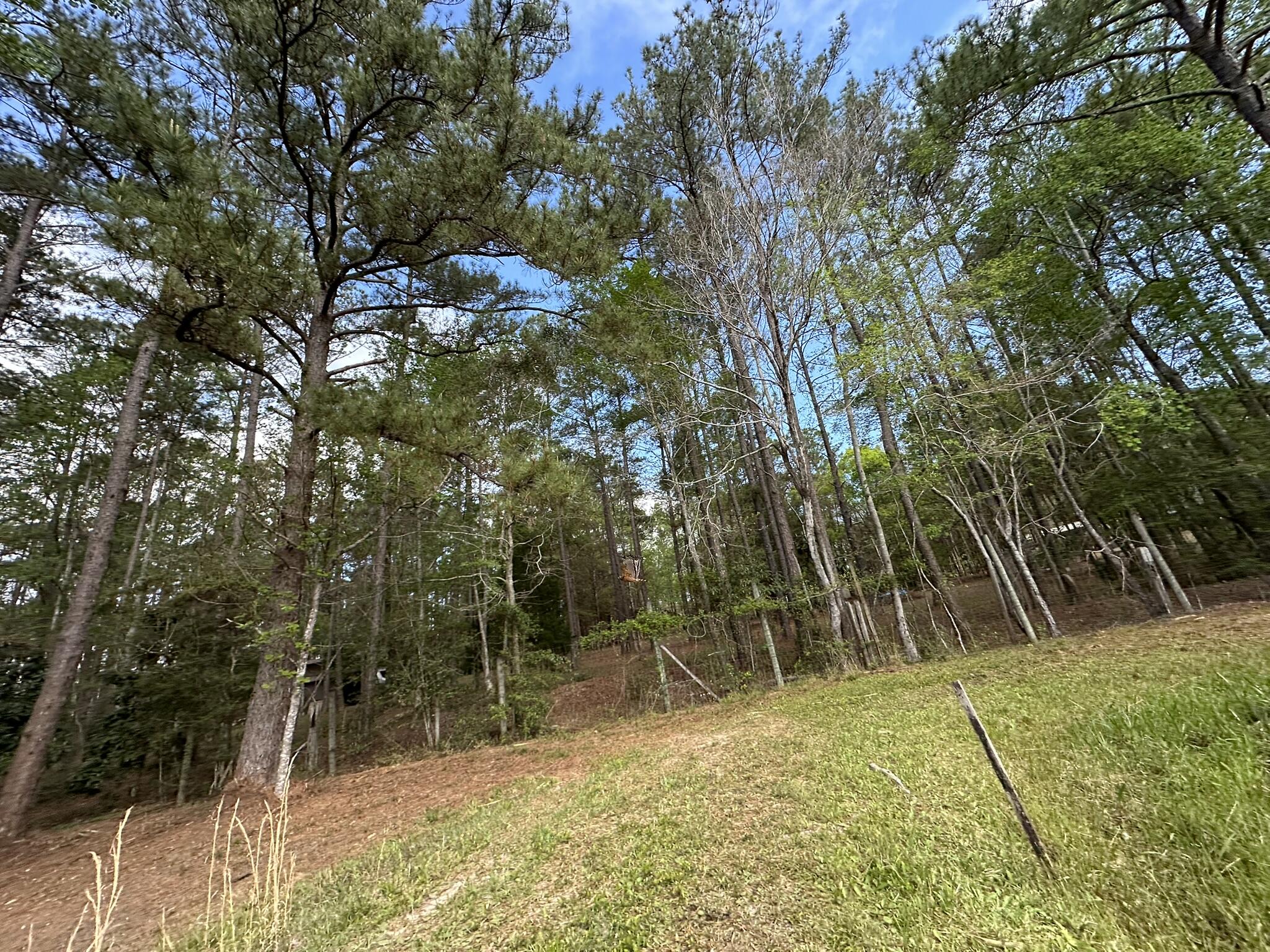 METES & BOUNDS - Land