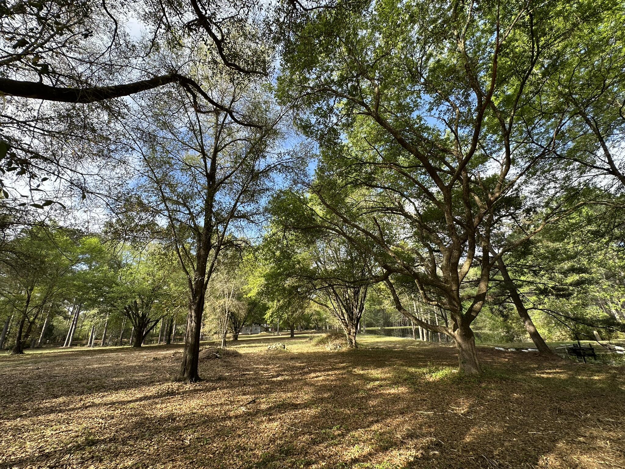 METES & BOUNDS - Land