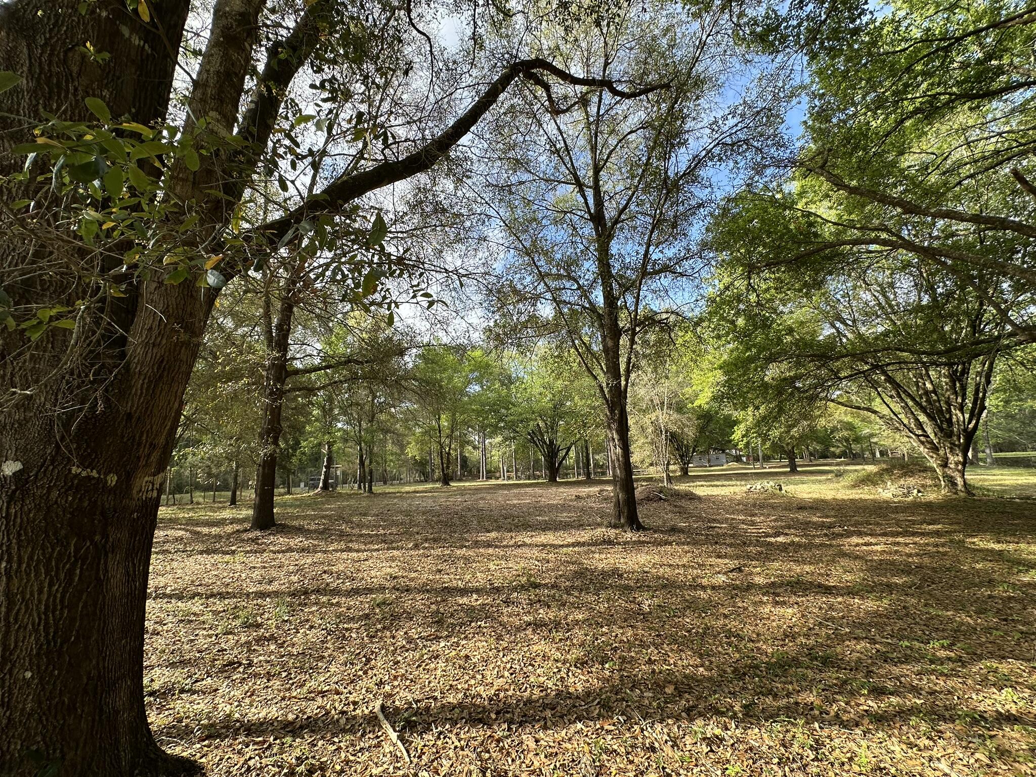 METES & BOUNDS - Land