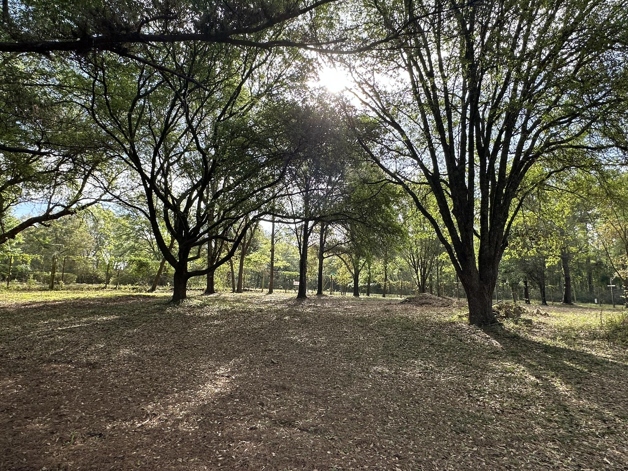 METES & BOUNDS - Land