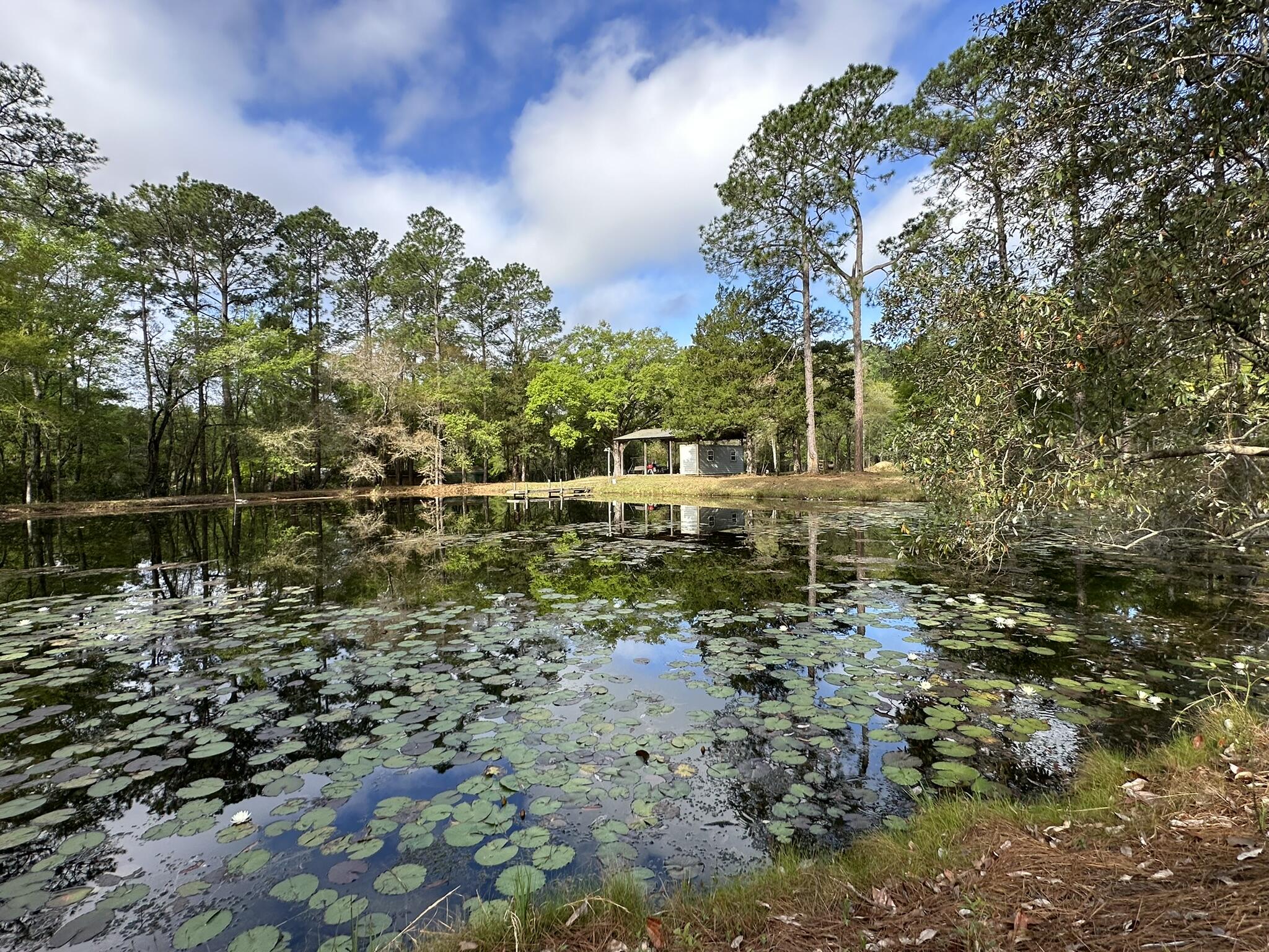 METES & BOUNDS - Land