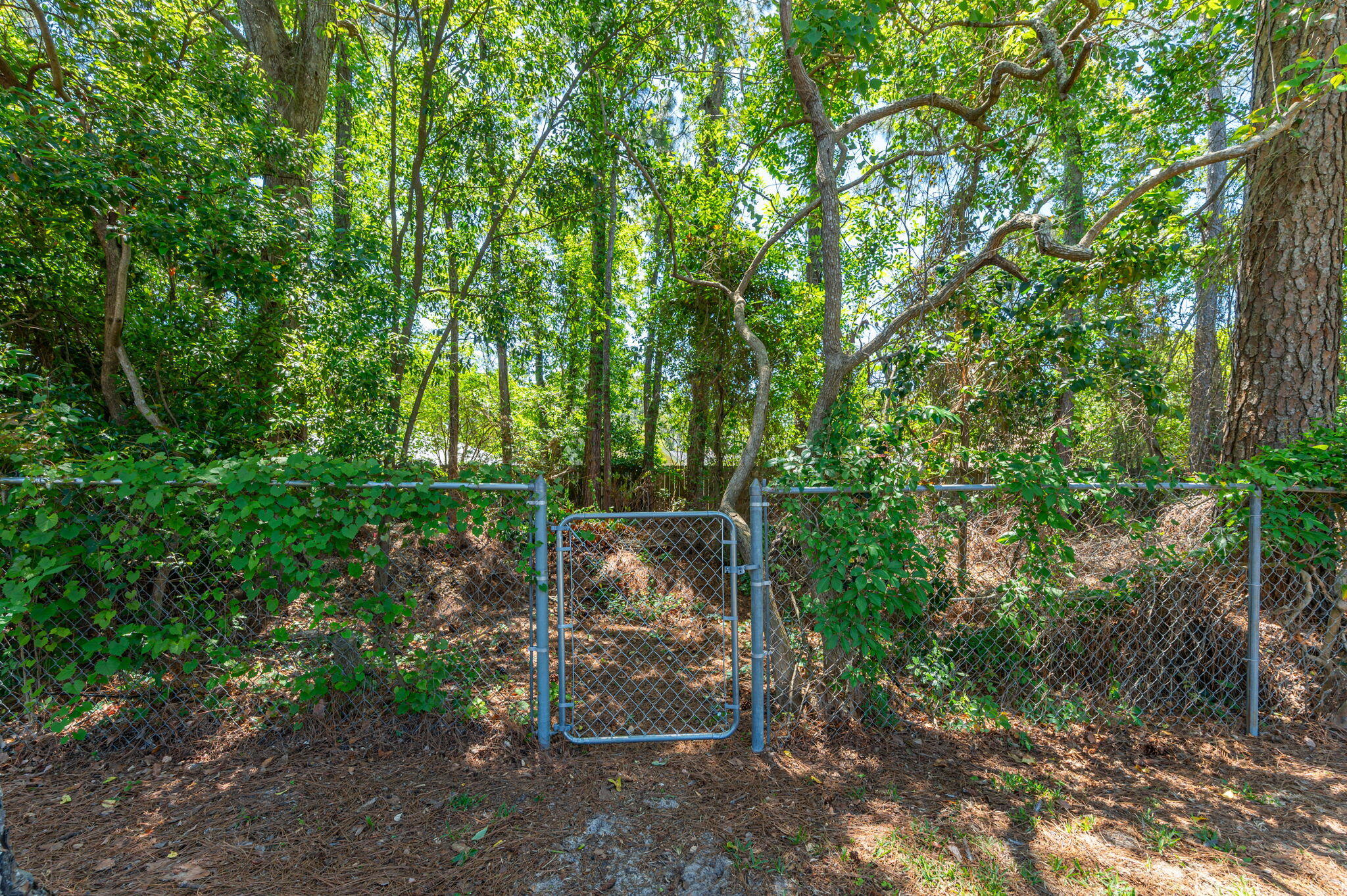 TANGLEWOOD S/D - Residential