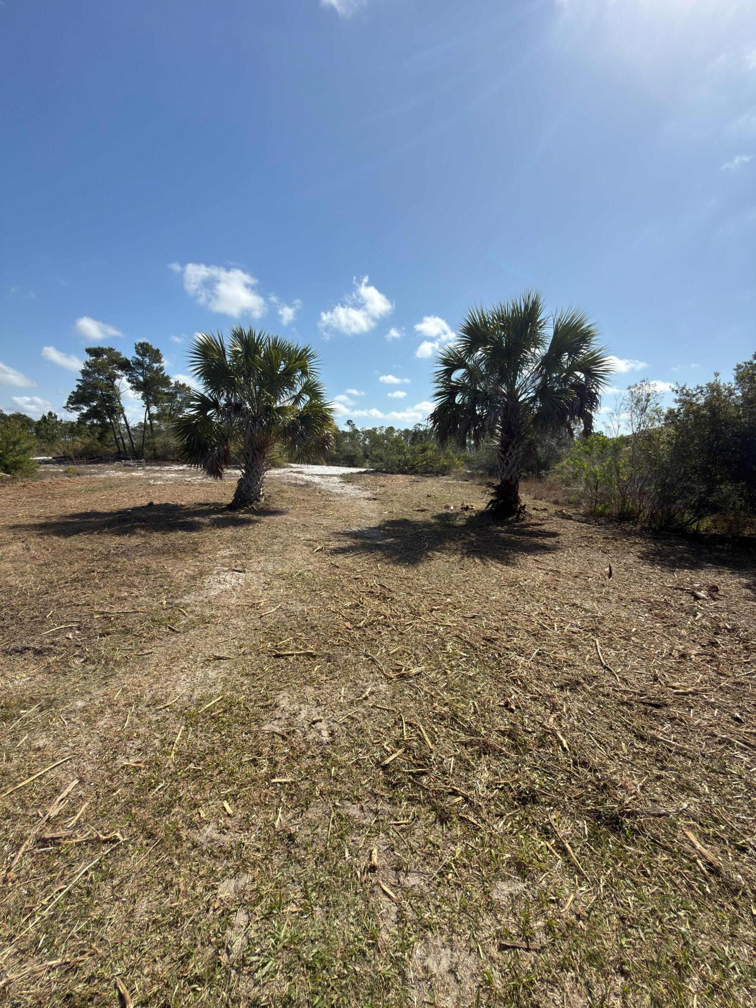 St Joseph Shores - Land