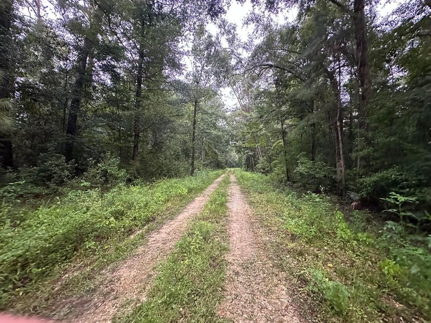 Located in a platted residential subdivision in Wewahitchka, this wooded vacant lot offers an opportunity to own property in Gulf County. Similar in size to nearby parcels, the lot retains its natural tree coverage and character, providing a setting for future residential plans subject to local requirements. The surrounding area reflects the quiet, rural nature of this part of North Florida.