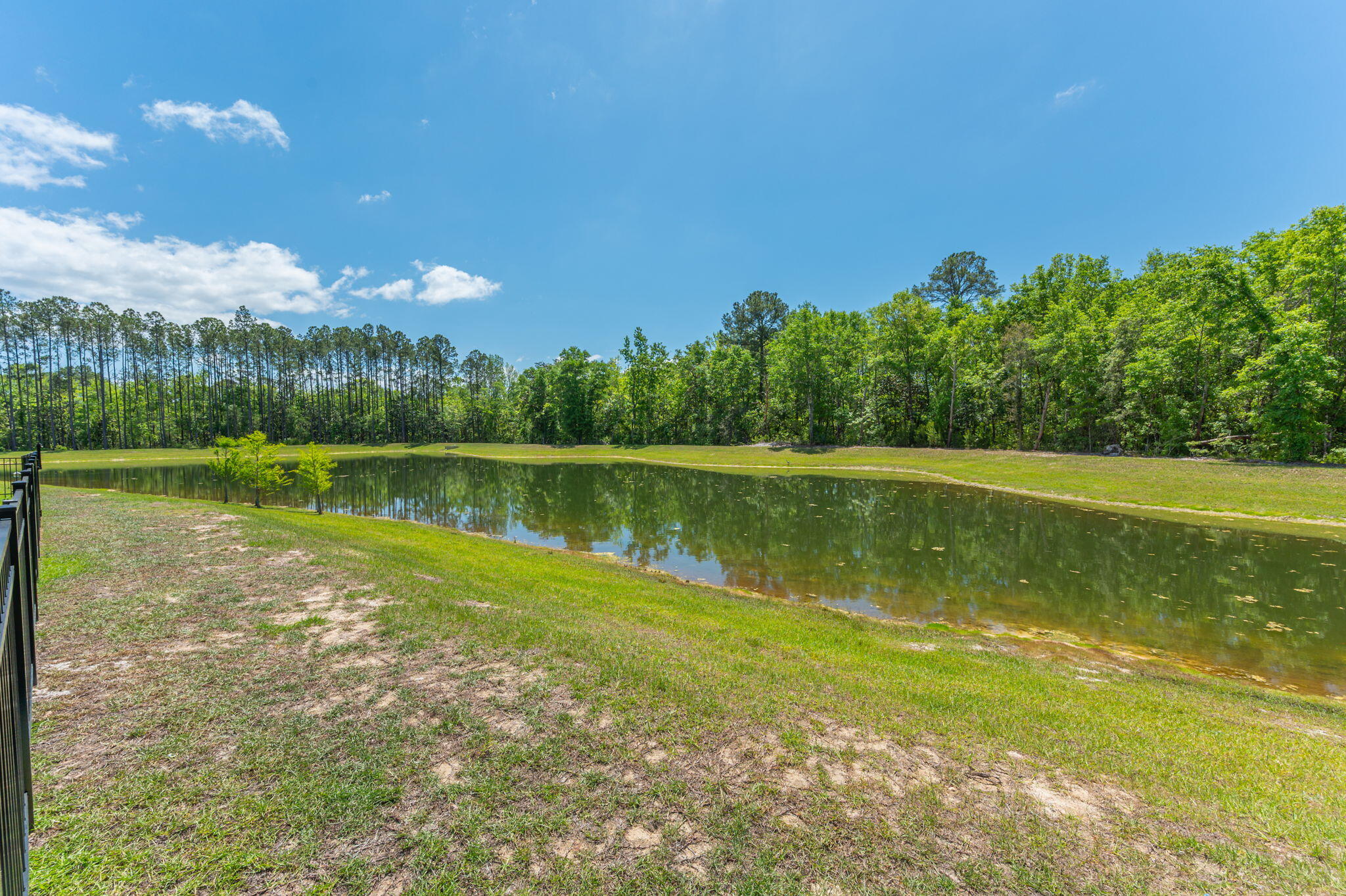 HAMMOCK BAY - STARBURST - Residential
