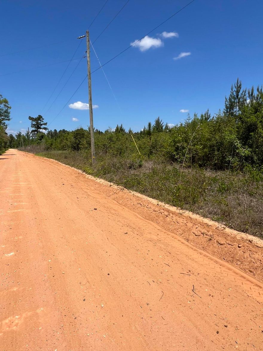 Discover the possibilities with this expansive 117-acre tract in Chipley, Florida--an exceptional opportunity for investors, hunters, or those ready to create a private homestead and build a lasting family legacy. Tucked away for privacy yet conveniently located just 45 minutes from the emerald waters and white sandy beaches of Panama City Beach, this property offers the perfect balance of seclusion and accessibility.

The land features eight-year-old planted longleaf pines, making it not only beautiful but also a potentially valuable long-term investment. Well-maintained access roads run throughout the property, and with frontage on a county-maintained dirt road and access points on both ends, navigating and developing the land is both easy and convenient.

 Whether you're looking to subdivide for investment purposes, establish a hunting retreat, or create your own self-sustaining homestead, this property provides the space and flexibility to bring your vision to life. Abundant wildlife, peaceful surroundings, and endless potential make this a rare find in today's market.

Opportunities like this don't come around often--117 acres of usable land with unlimited possibilities. Your private paradise awaits.