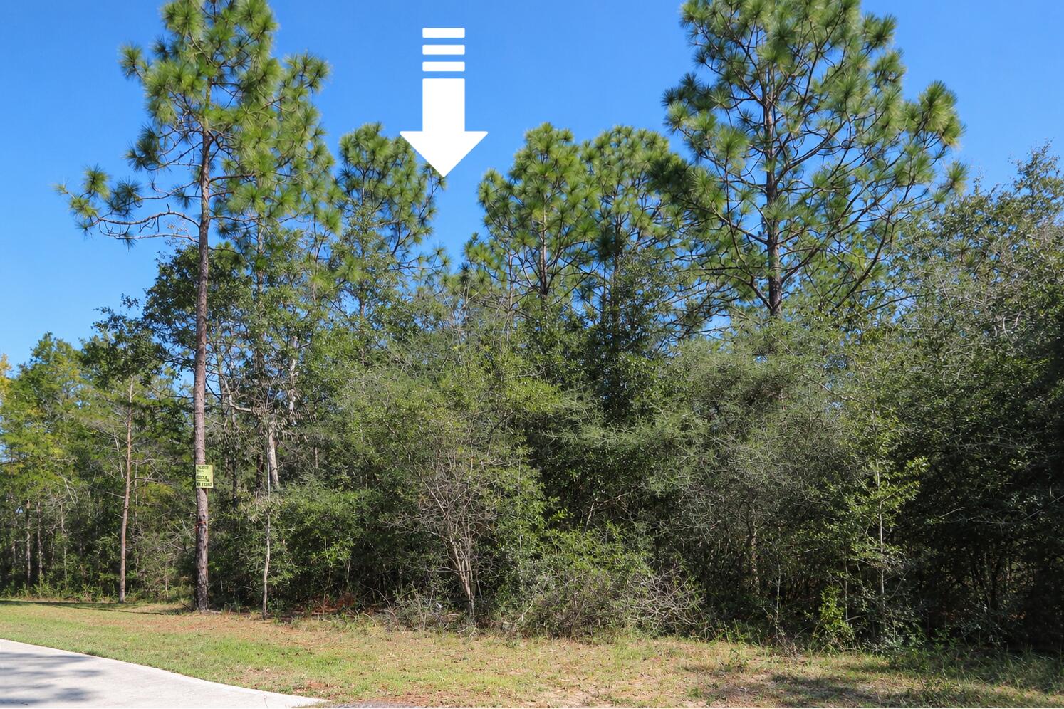 Lot 31 Botticelli Court